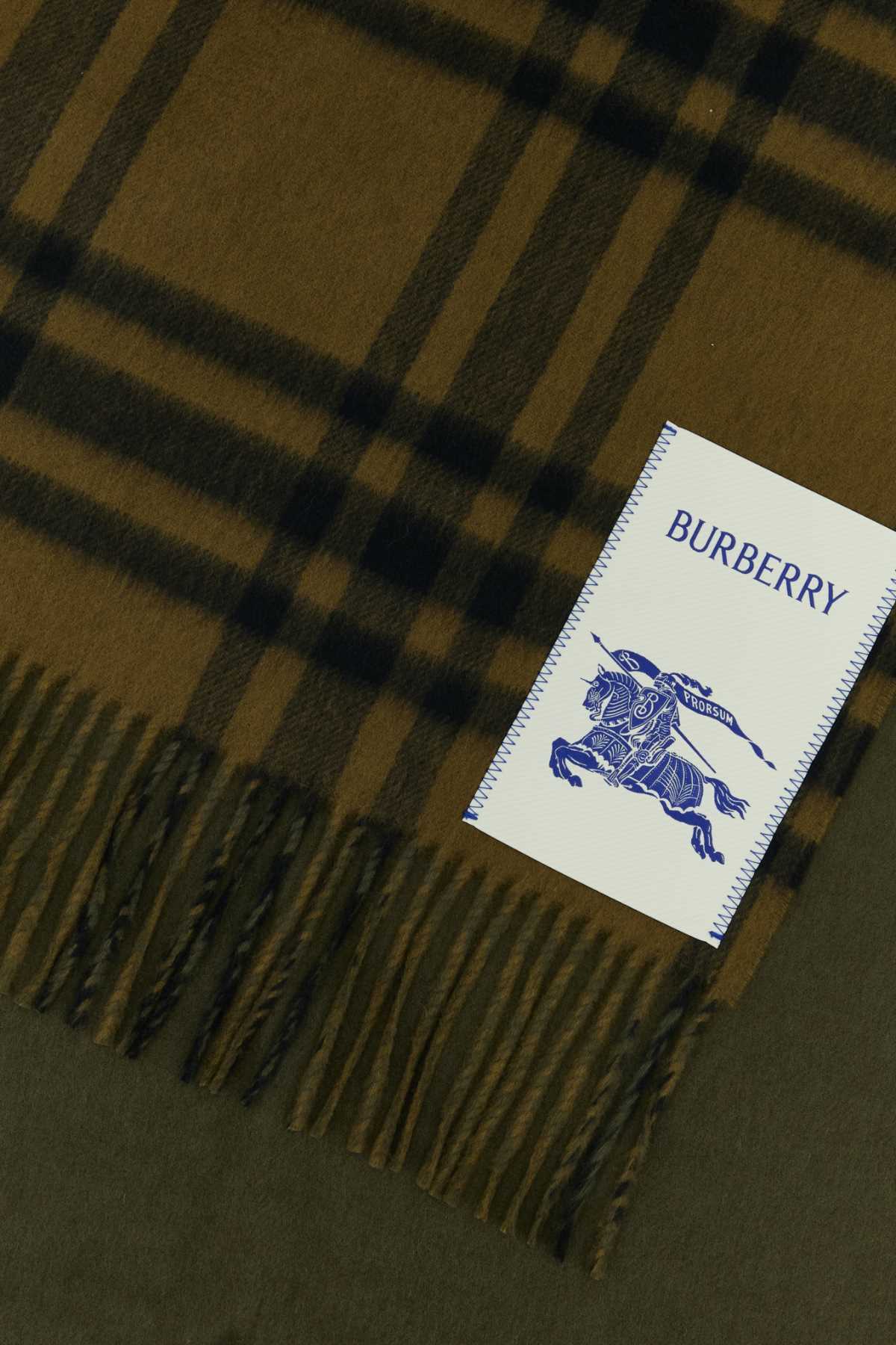 Shop Burberry Embroidered Cashmere Reversible Scarf In Camp