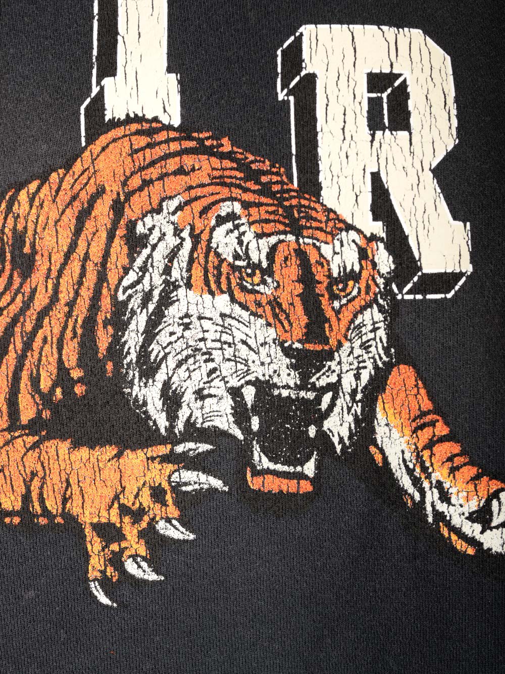 Vintage Tiger Cotton Sweatshirt in Black - Amiri