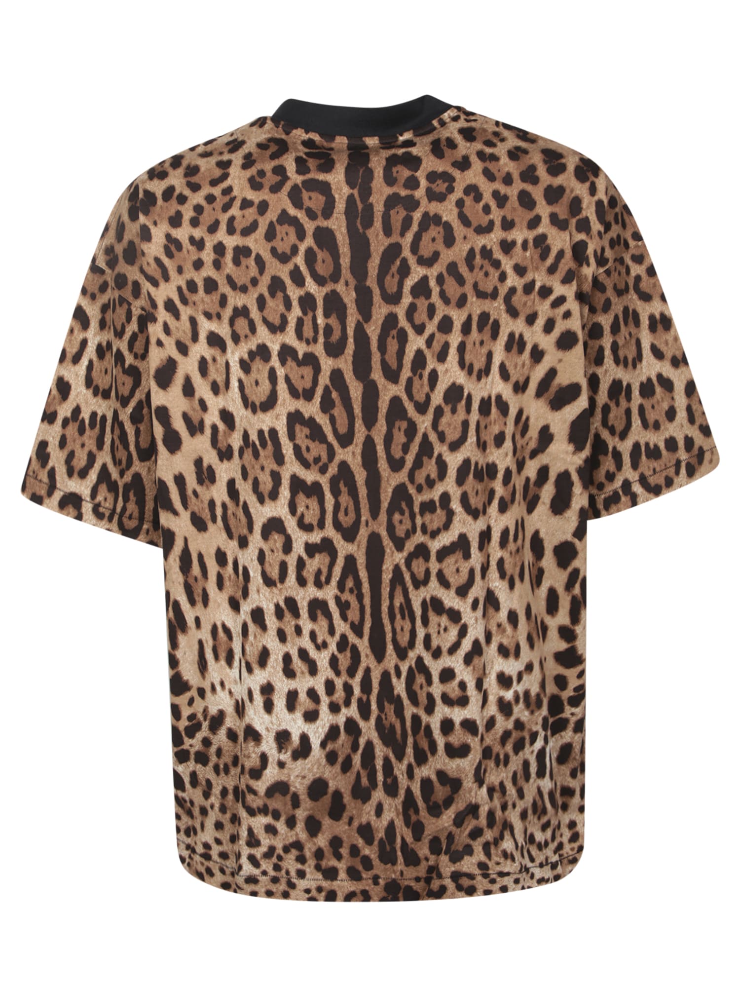Dolce & Gabbana Brown Leopard Print T-shirt In Brown