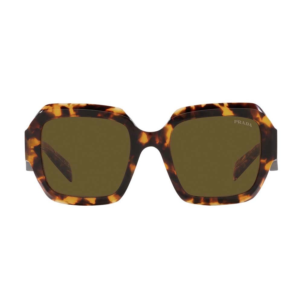 Shop Prada Sunglasses In Marrone/marrone