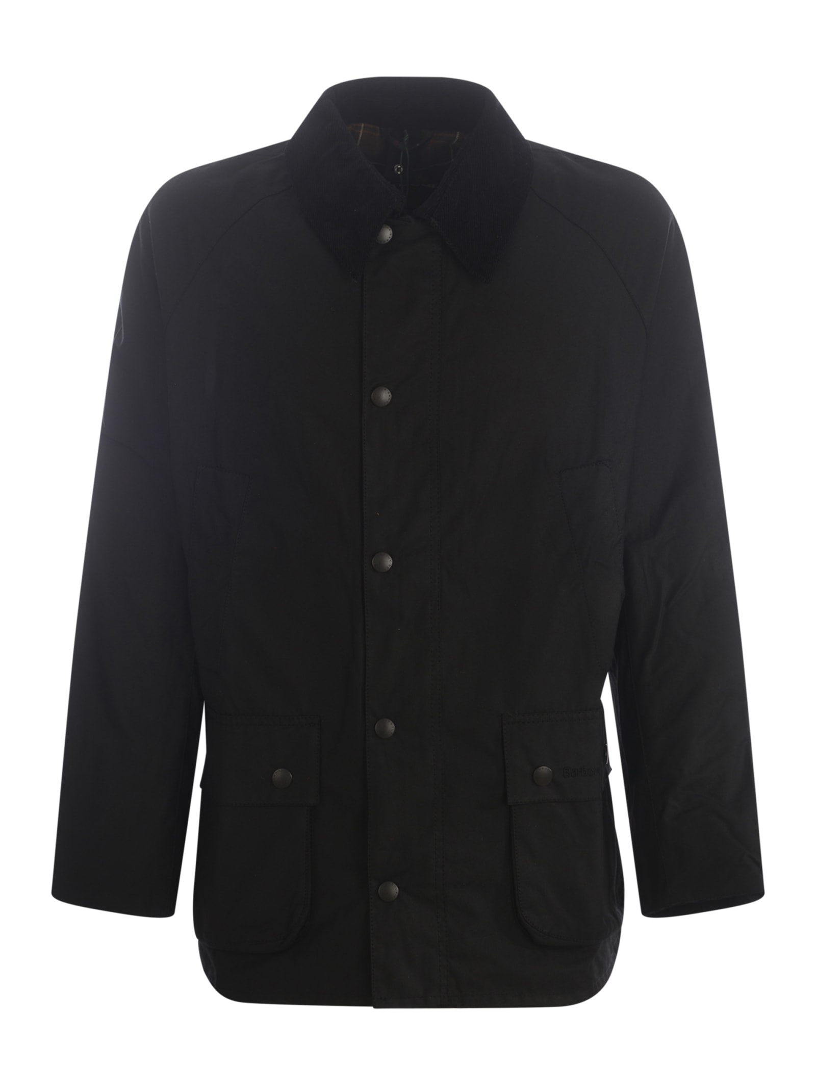 Shop Barbour Jacket  Ashby In Cotton In Nero