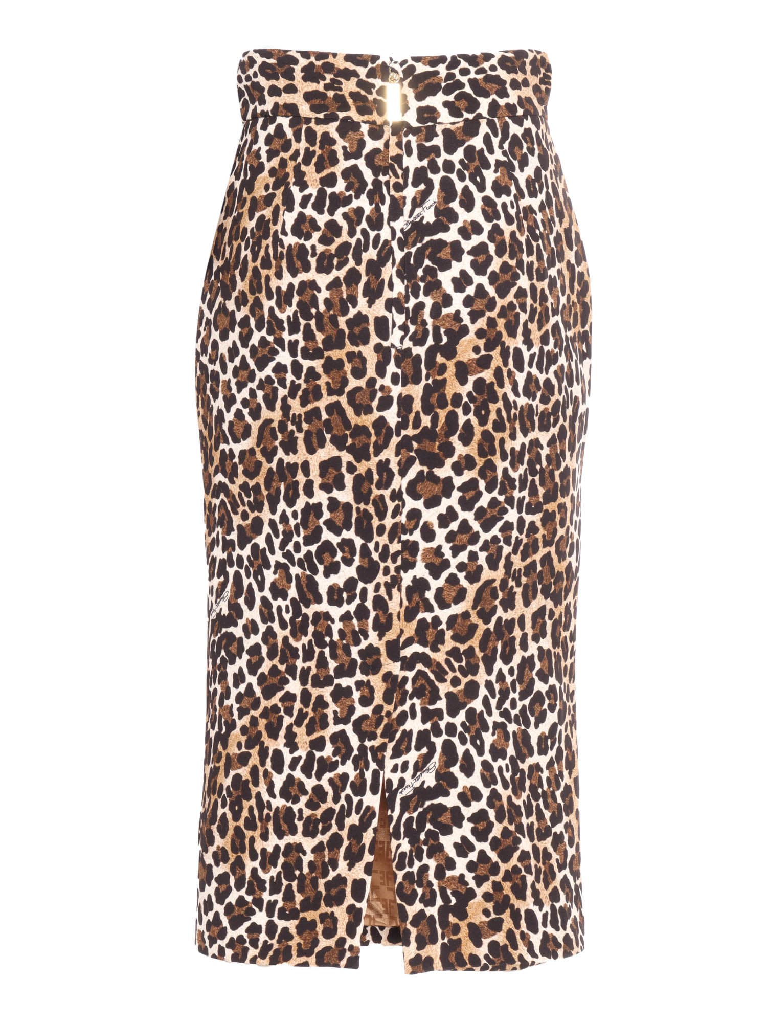 Shop Elisabetta Franchi Skirt In Brown