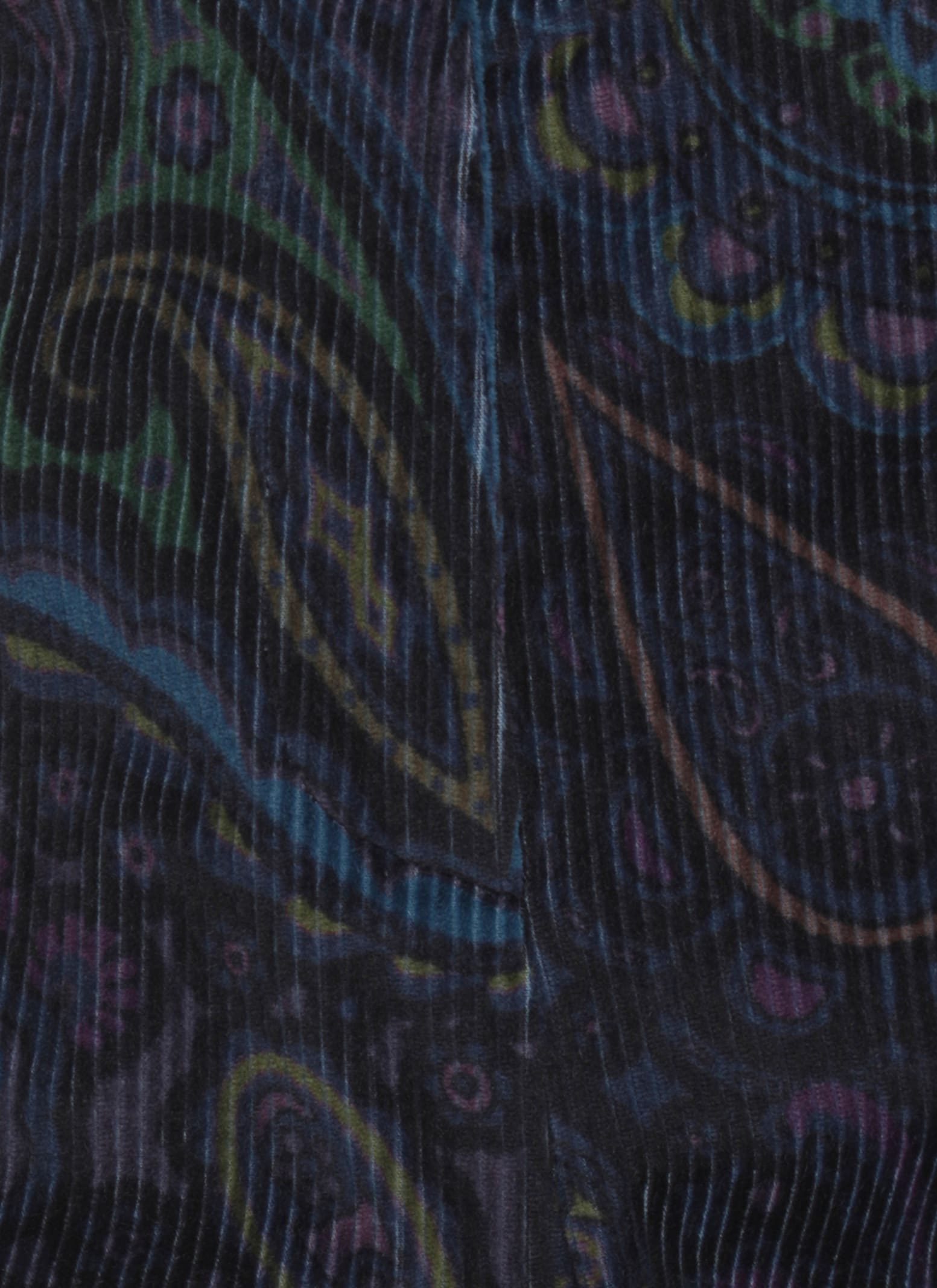 Etro Velvet Pants In Multi