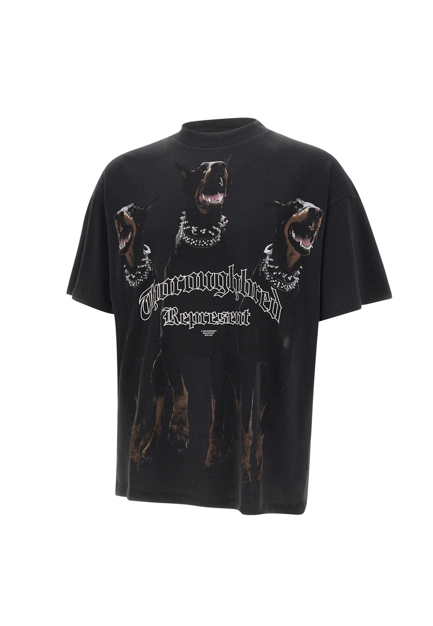 Shop Represent Thoroughbred Cotton T-shirt In Black