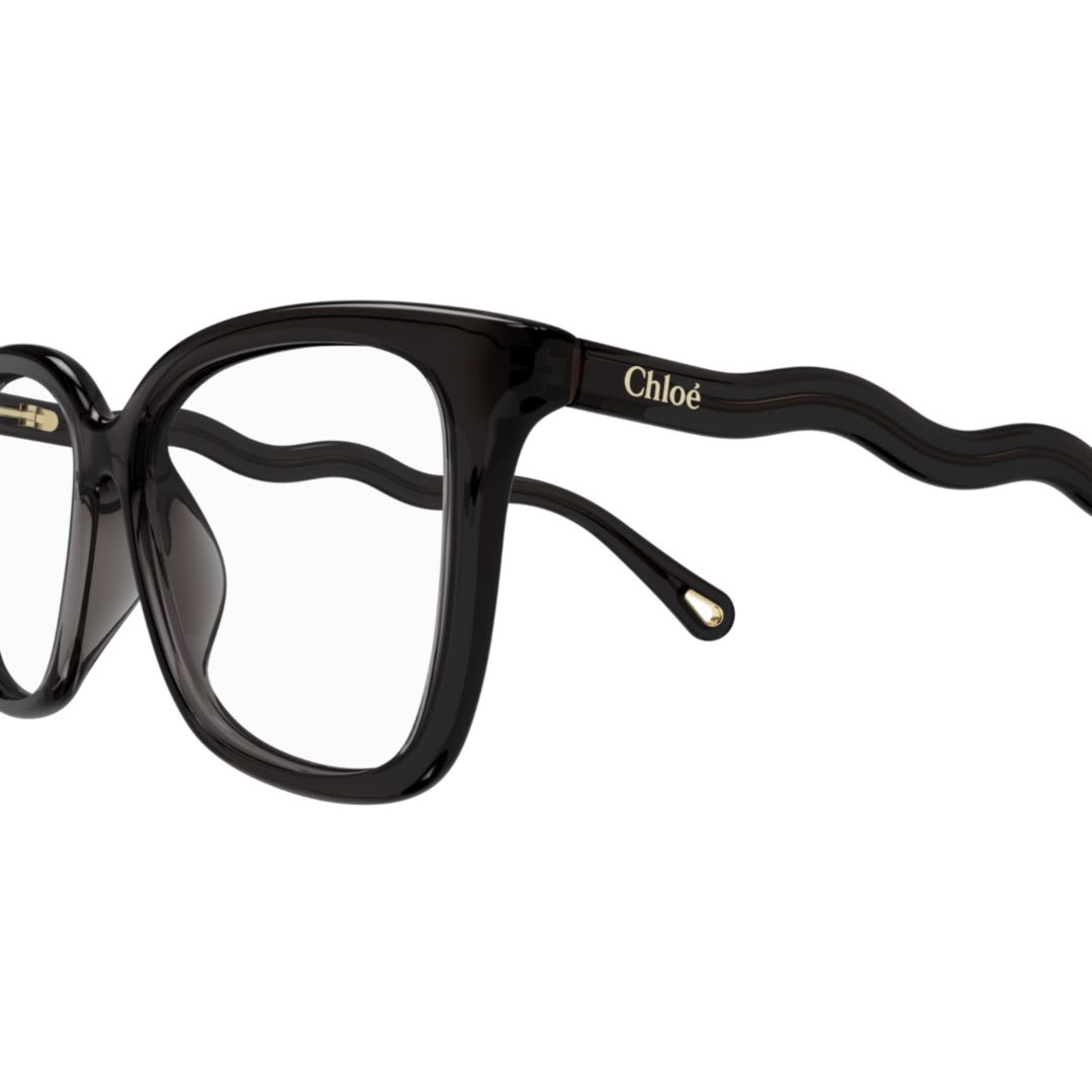 Chloé Ch0090o005 Grey Grey Transparent In Black