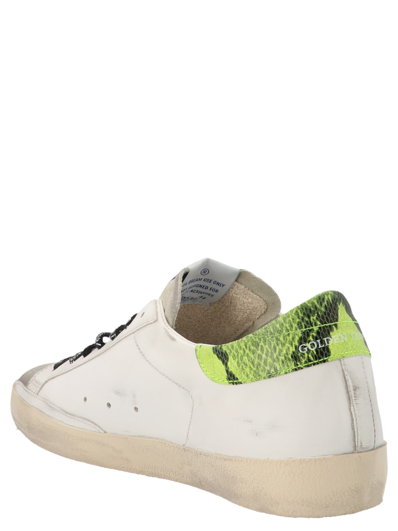 GOLDEN GOOSE photo