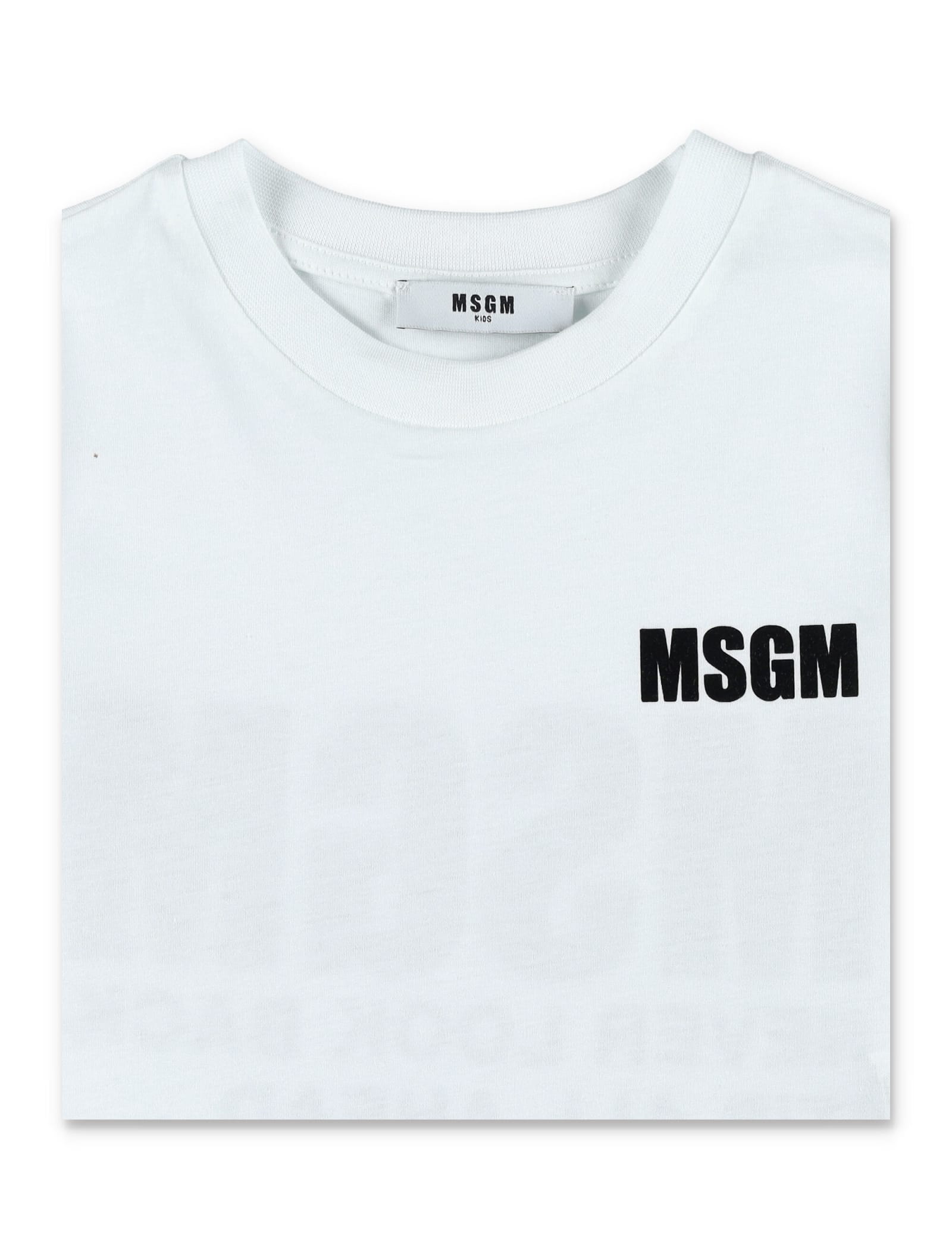 Shop Msgm Logo Cropped T-shirt In Bianco/white