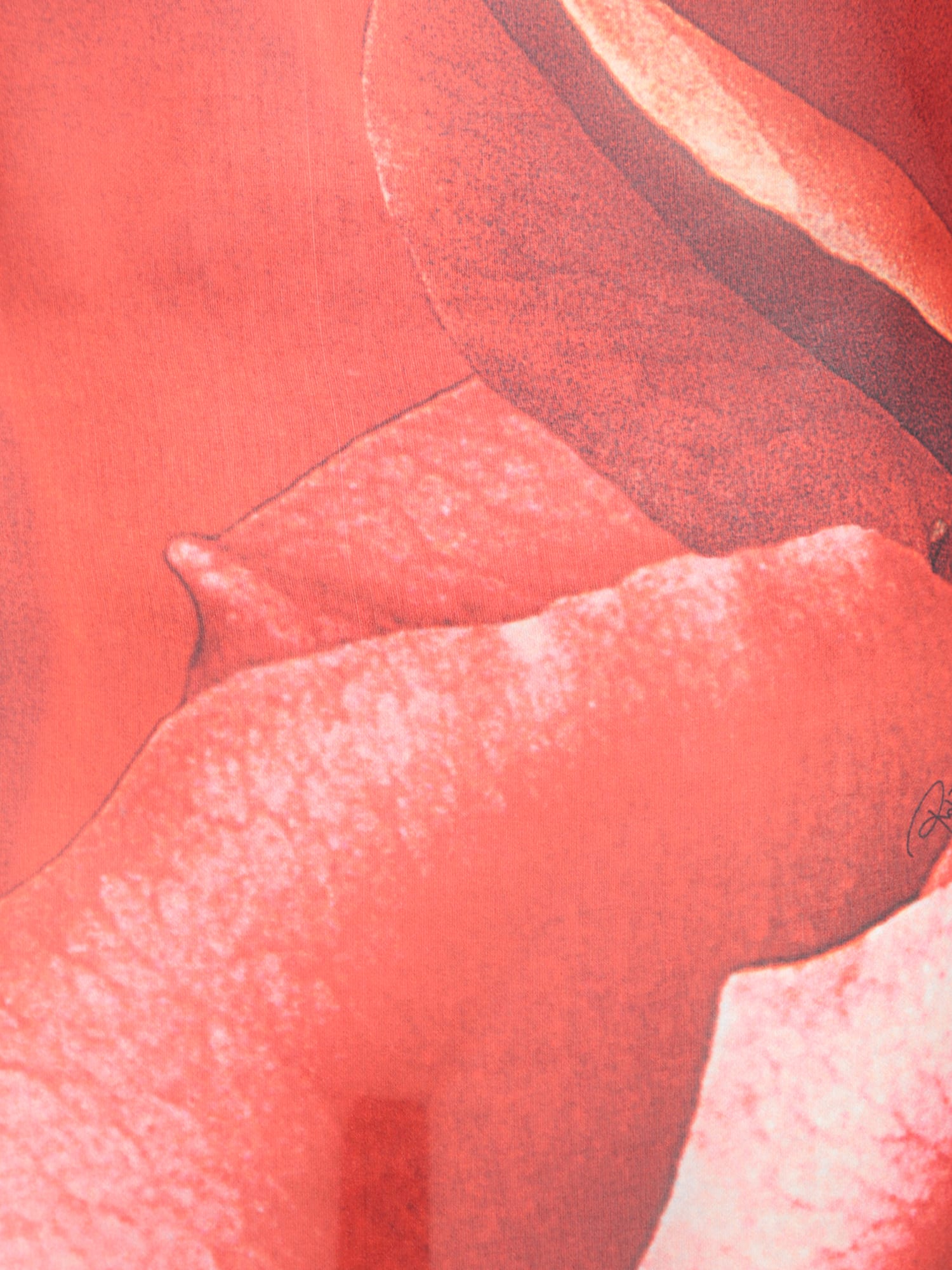 Roberto Cavalli Garden Rose Kaftan Dress In Red