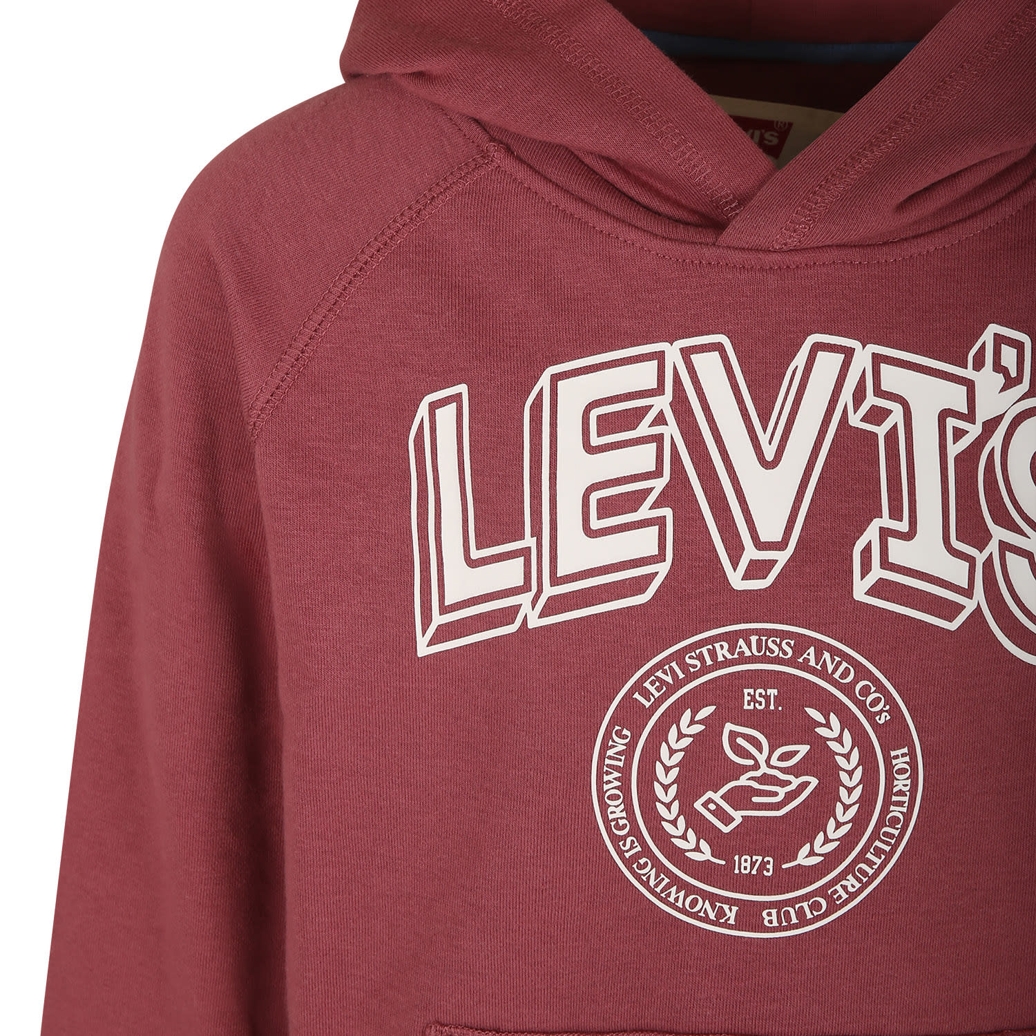 Shop Levi's Red Sweatshirt For Boy With Logo