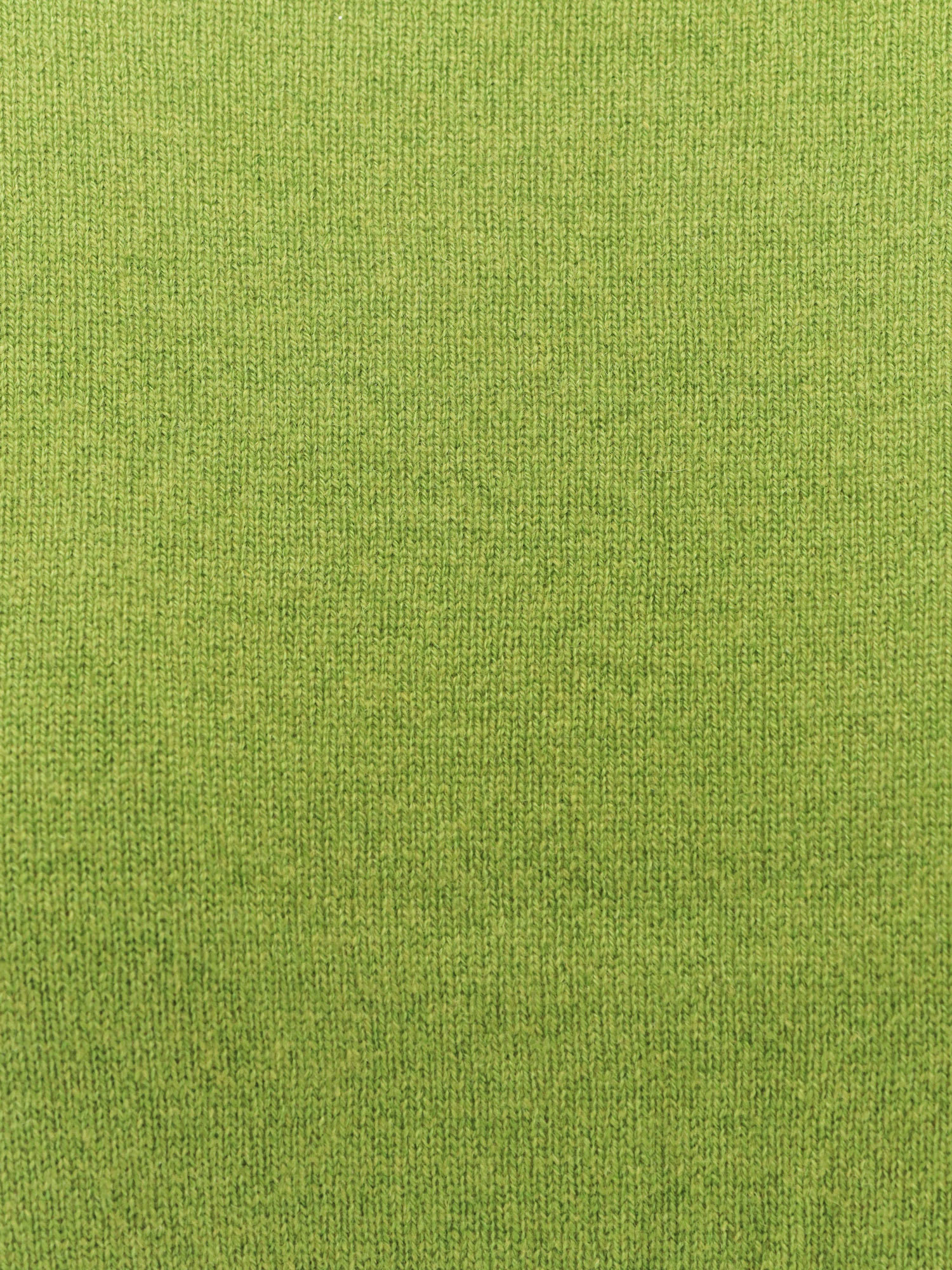 F Cashmere Daisy 1 Cashmere Sweater In Green
