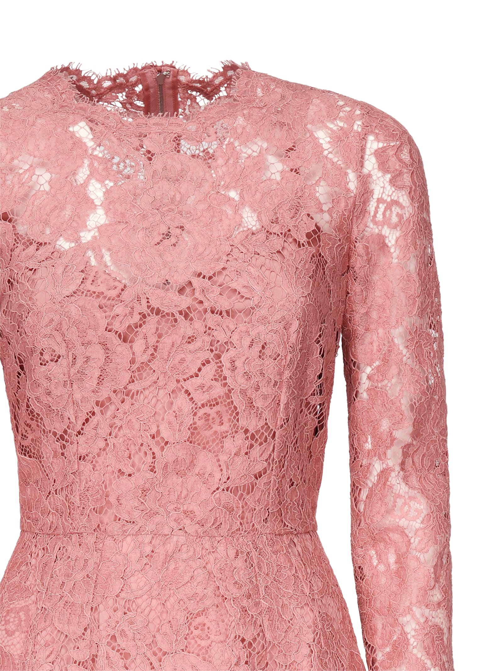 Dolce & Gabbana Women Branded Floral Cardonetto Lace Sheath Dress In Pink