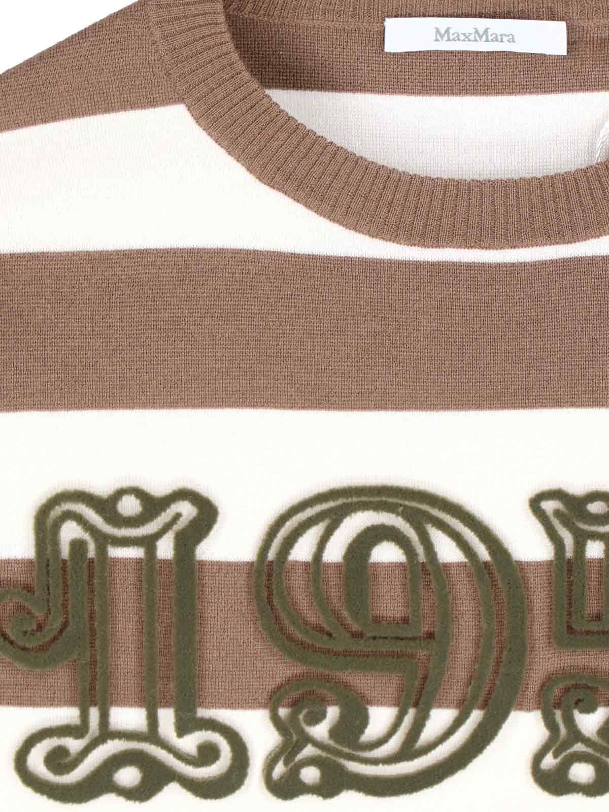 Max Mara Sleeveless Crew Neck Top With Embroidered Detail In Brown
