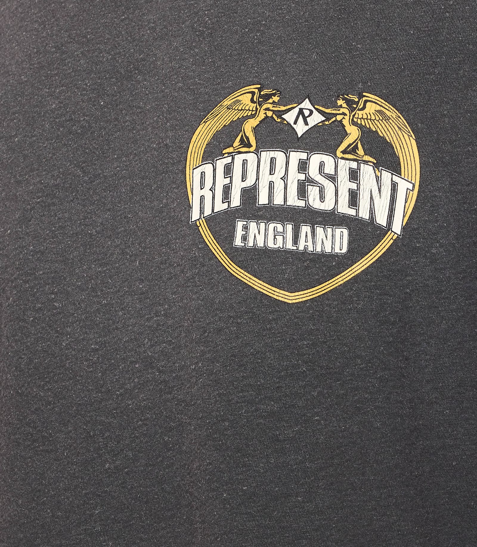 Represent Graphic Print Crew Neck Short Sleeve T-shirt In Gray