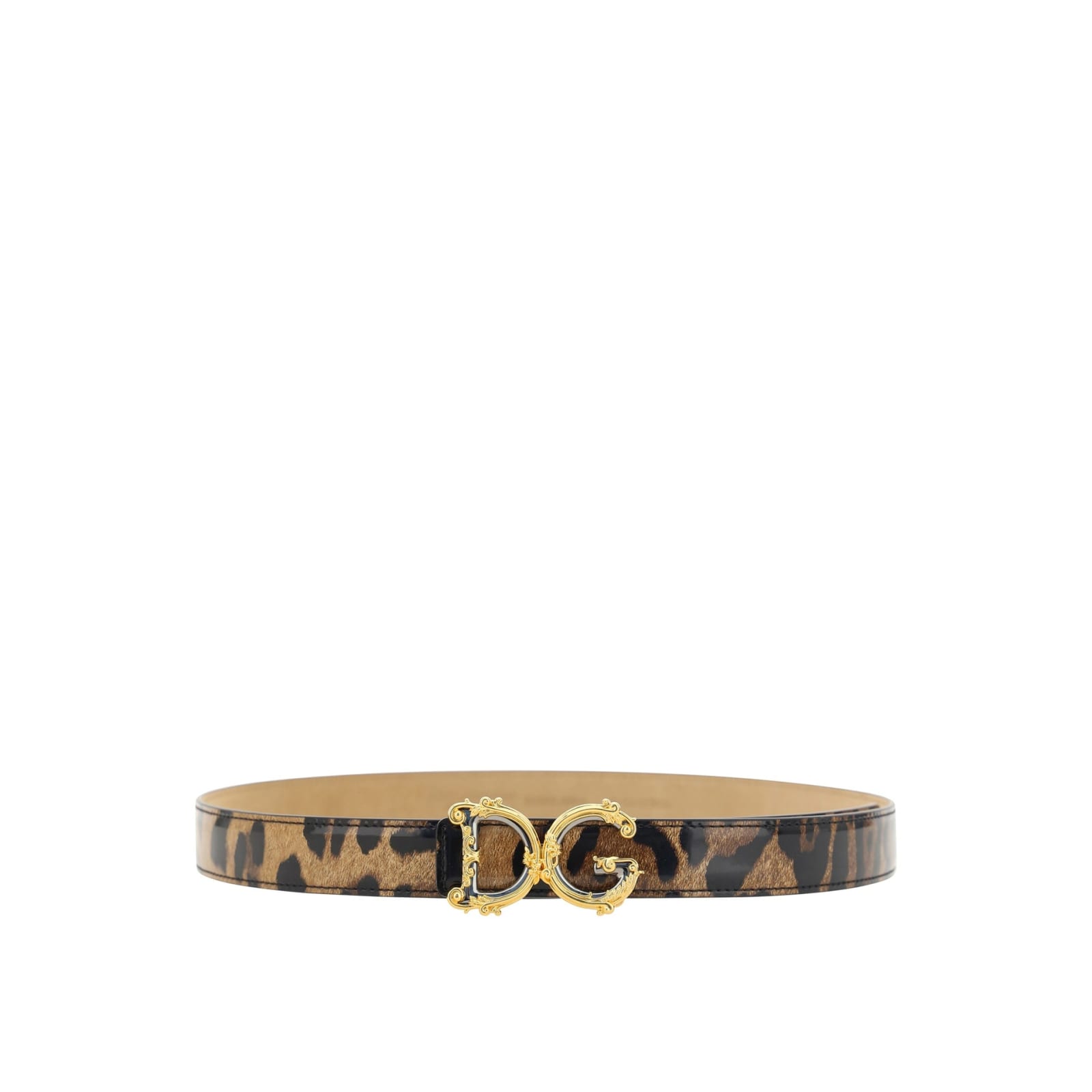 Dolce & Gabbana Leather Logo Belt Women In Animal Print