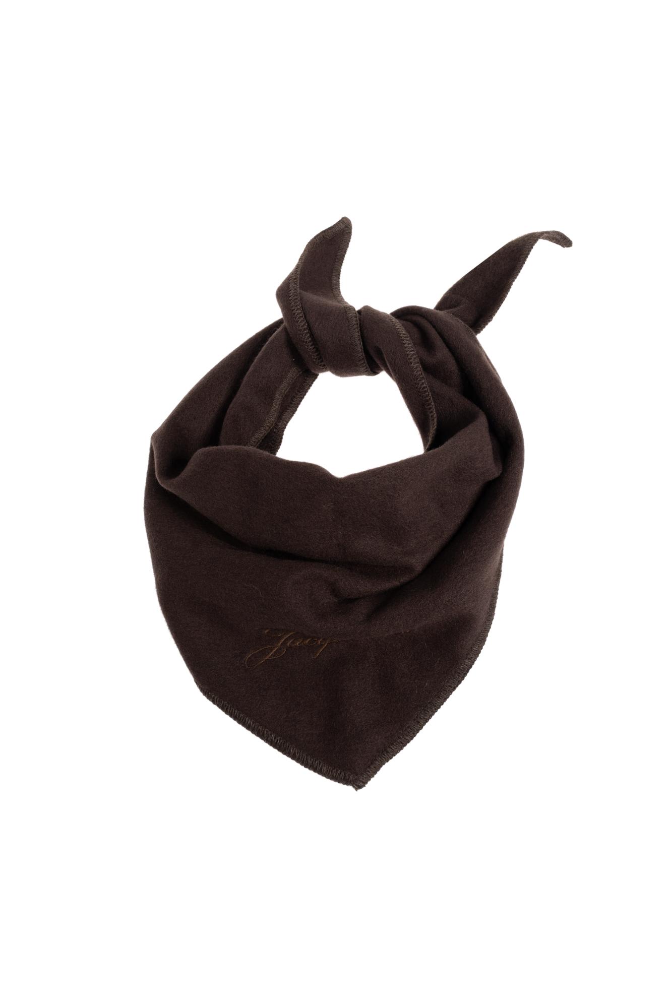 Jacquemus Cashmere Scarf In Brown