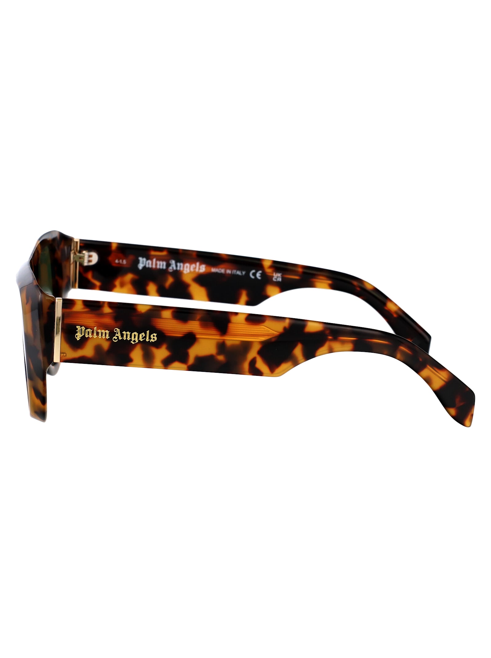 Palm Angels Joshua Sunglasses In Brown