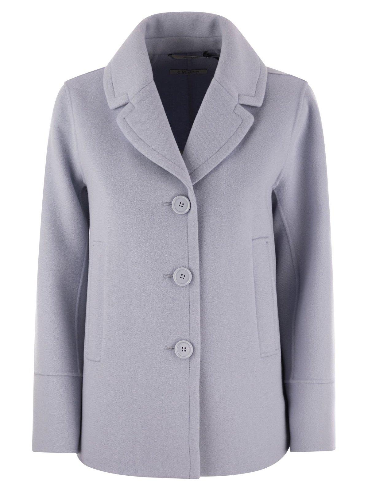 Shop 's Max Mara Single-breasted Long-sleeved Jacket In Clear Blue