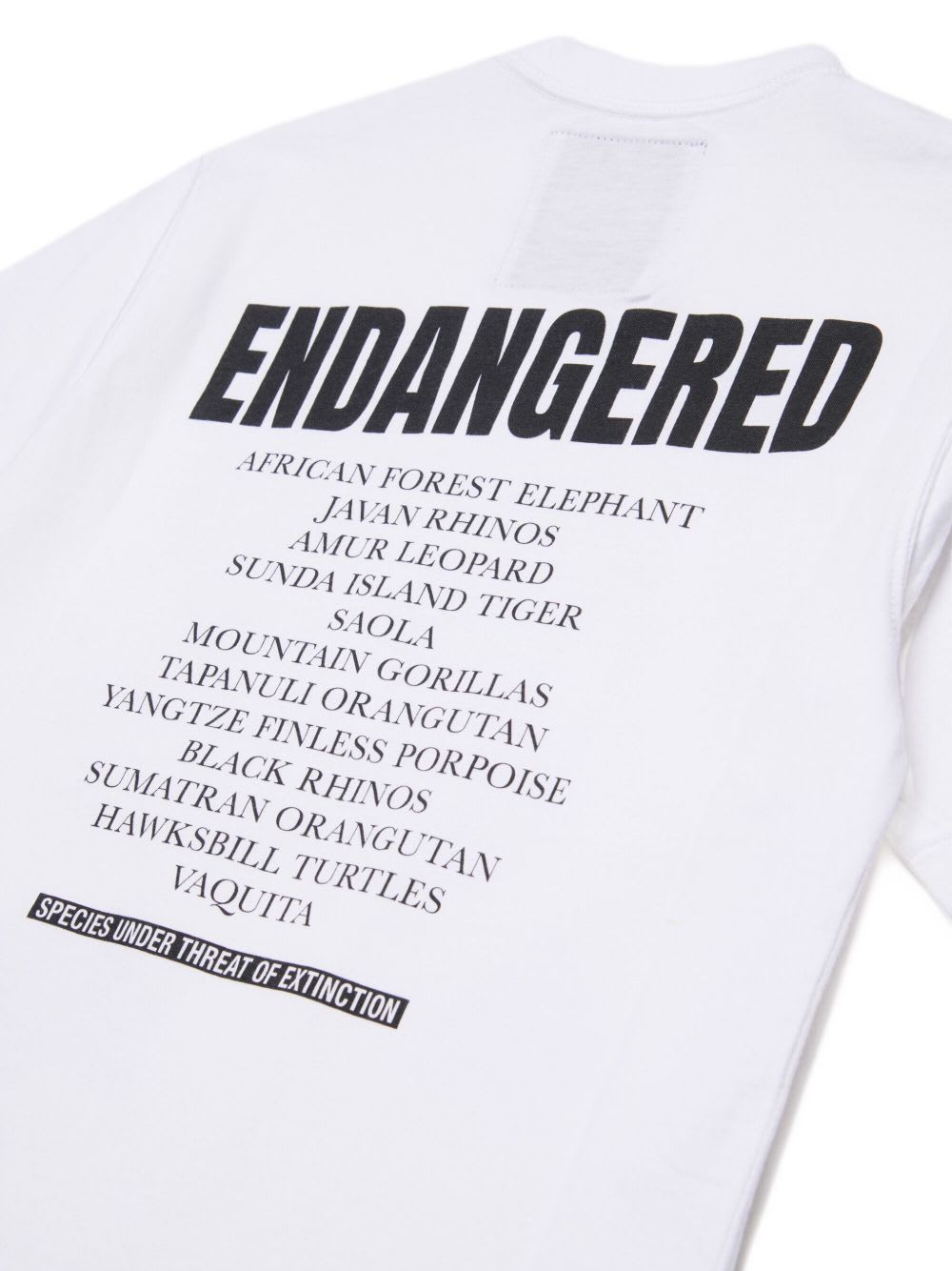 Myar Tiger-animal Print T-shirt In White