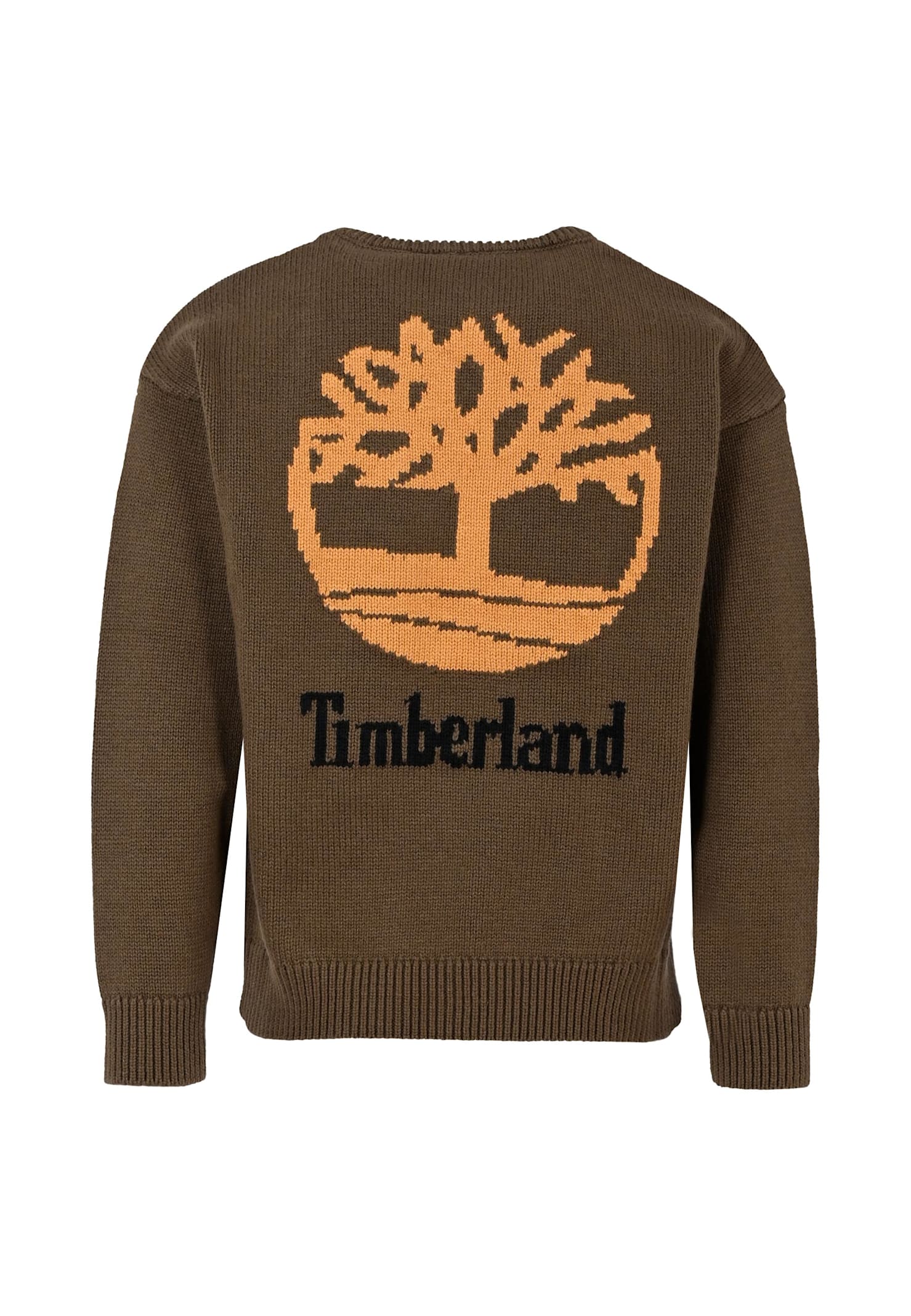 Timberland Green Sweater For Boy With Logo In Green