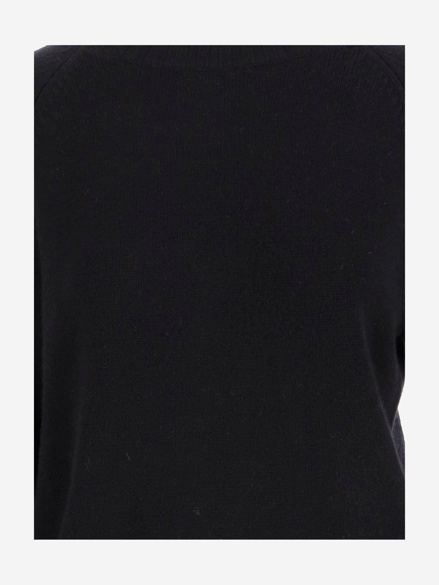 Shop Wild Cashmere Wool And Cashmere Sweater In Black