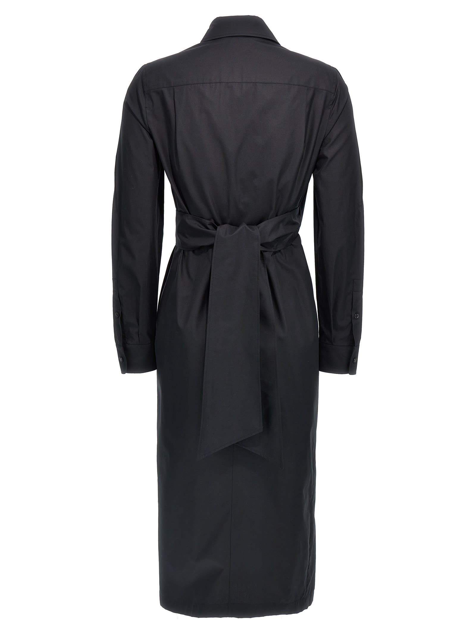 Shop Max Mara Agrume Dress In Black