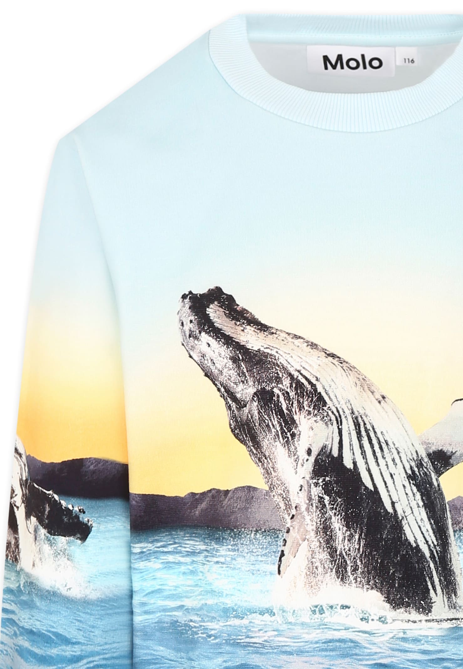 Molo Light Blue Sweatshirt For Boy With Whale In Light Blue