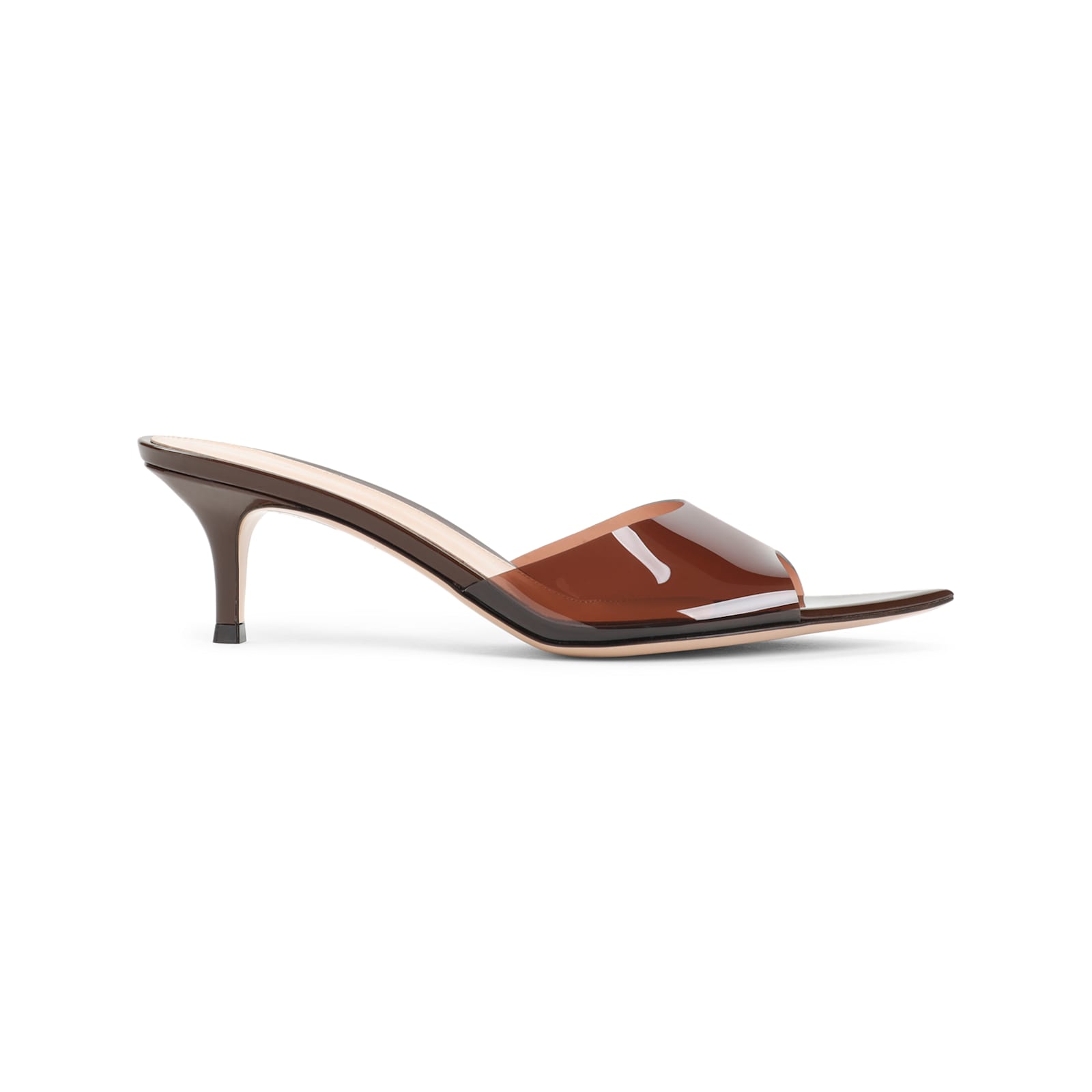 Gianvito Rossi Pointed Toe Mules With Semi-sheer Strap