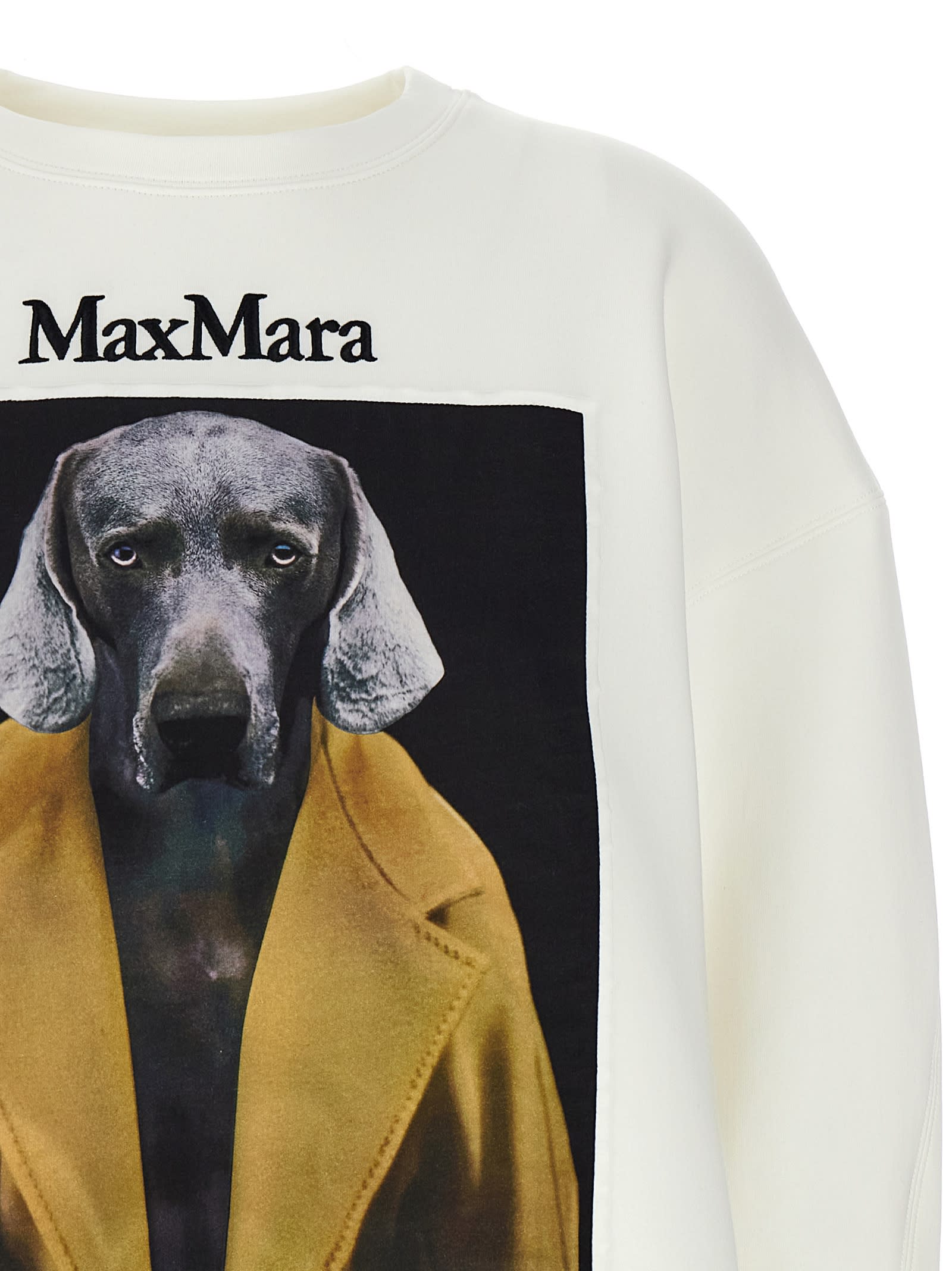 Shop Max Mara Bacco Sweatshirt In White