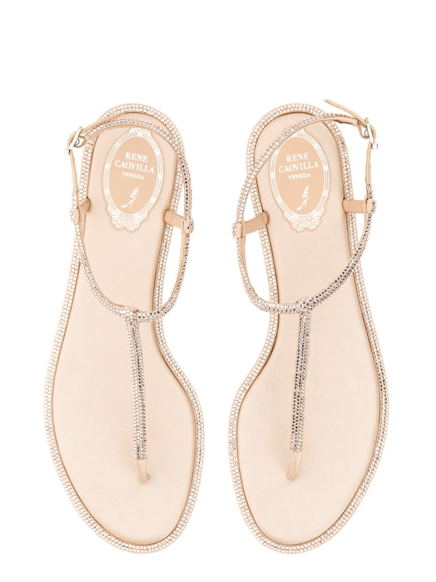 Shop René Caovilla Sandal Diana In Powder