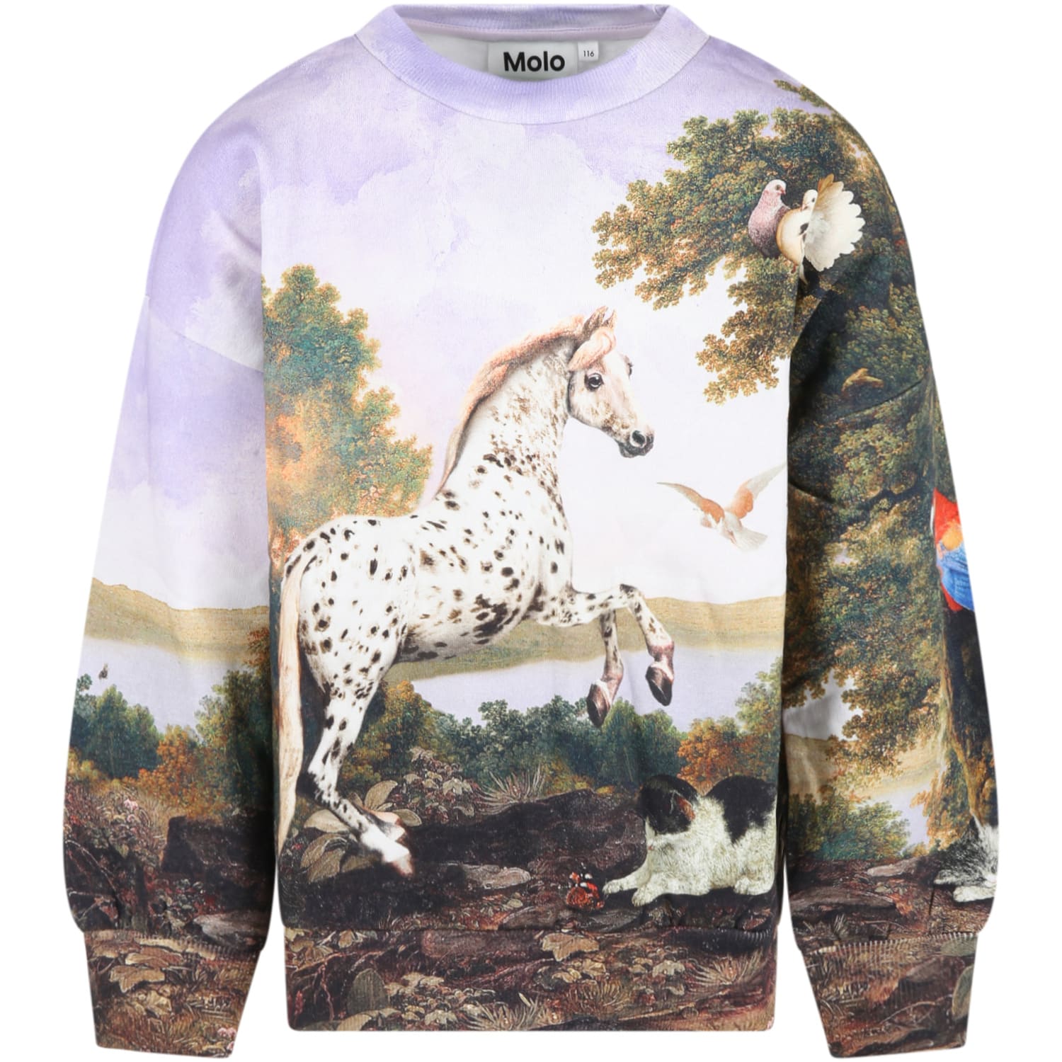 Molo Multicolor Sweatshirt For Girl With Poetic Landscape