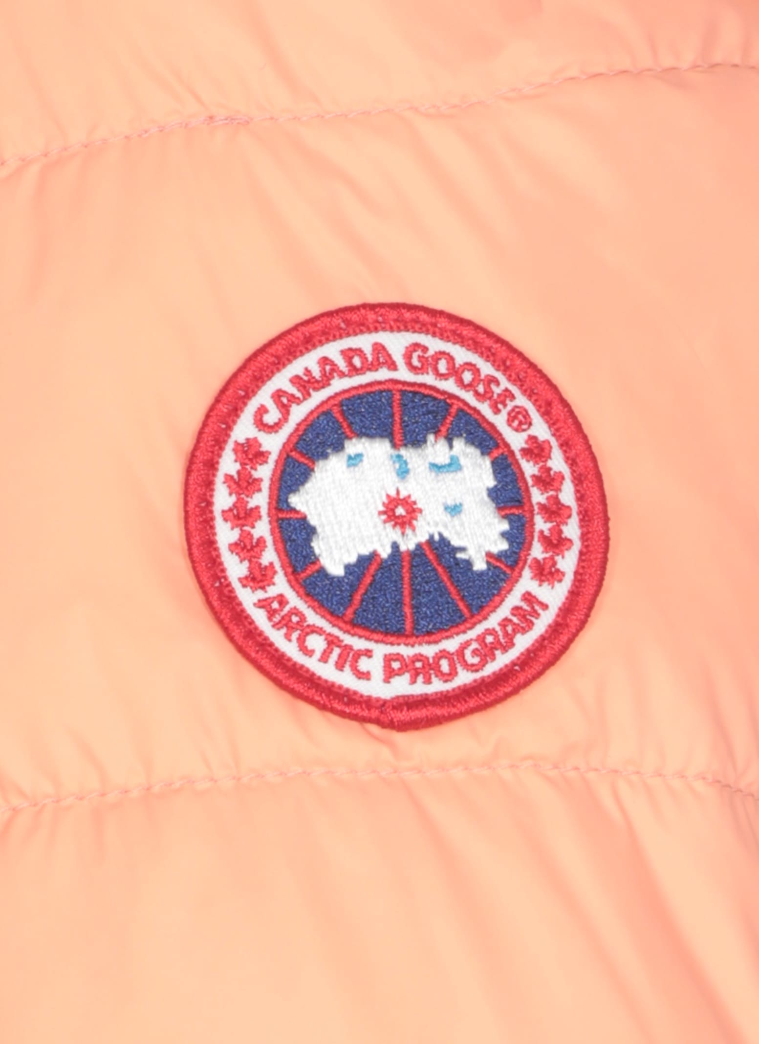 Shop Canada Goose Abbott Down Jacket In Orange