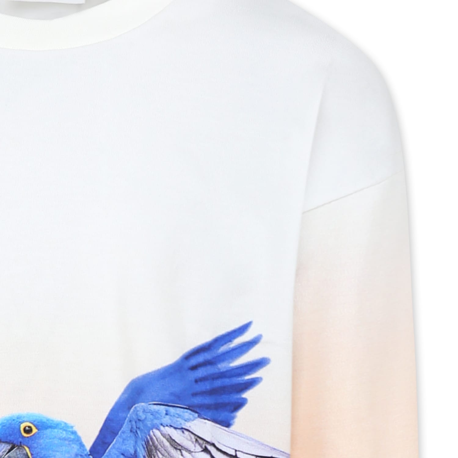 Molo Ivory T-shirt For Girl With Parrots Print In Ivory