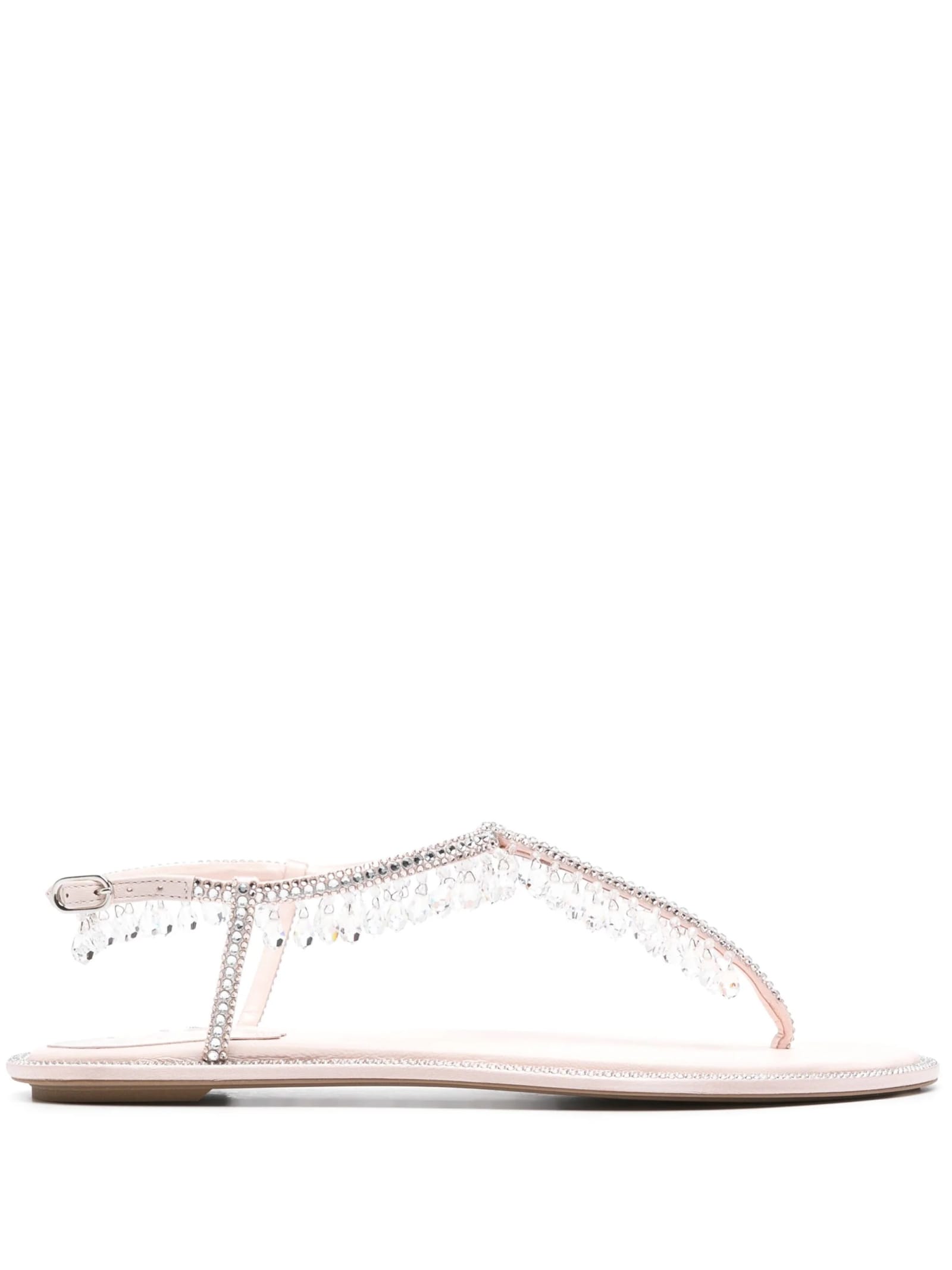 Shop René Caovilla Pink Diana Sandals With Crystals