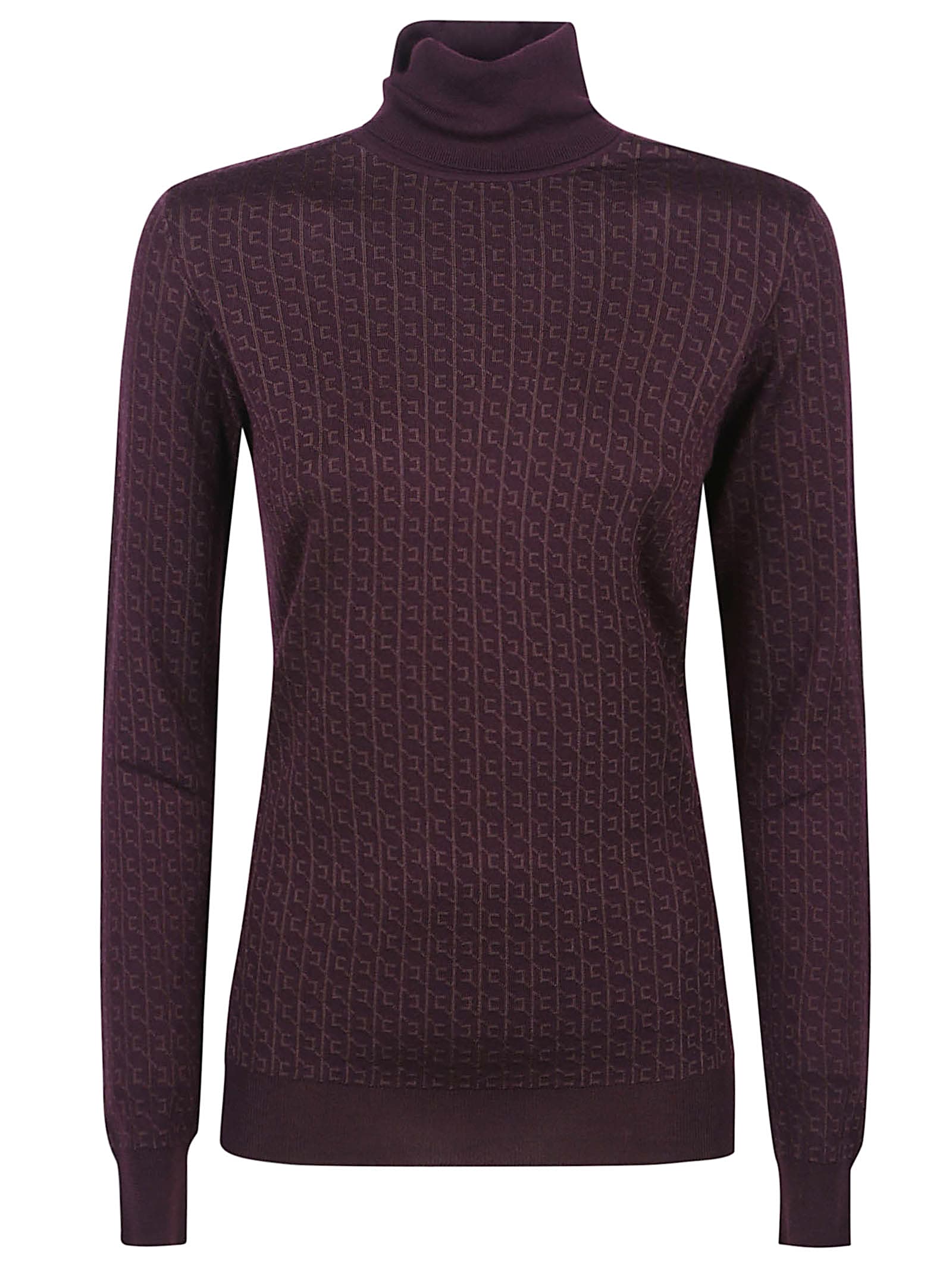 Elisabetta Franchi Wool Blend Turtle-neck Sweater In Brown