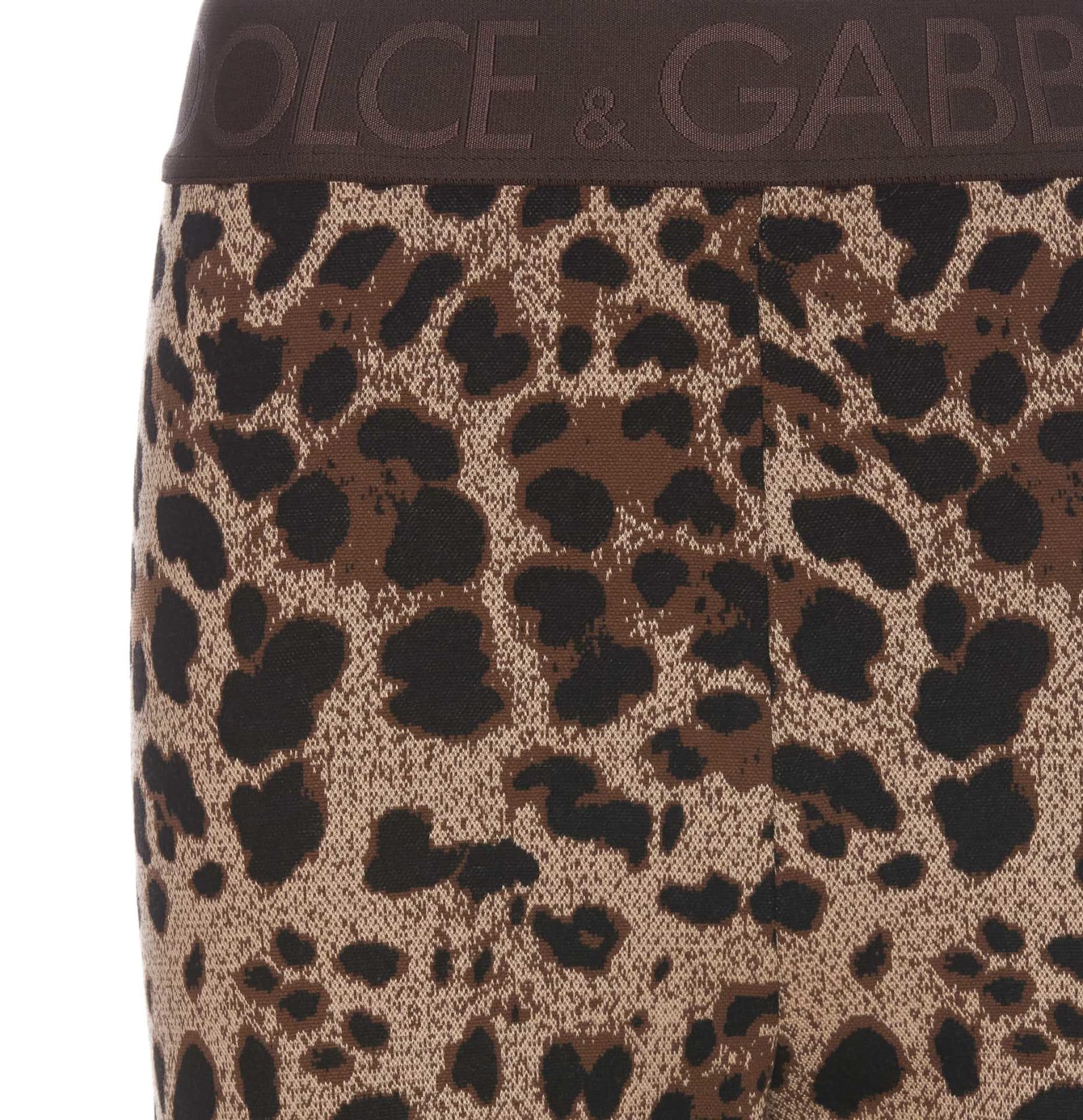 Shop Dolce & Gabbana Leo Leggings In Black