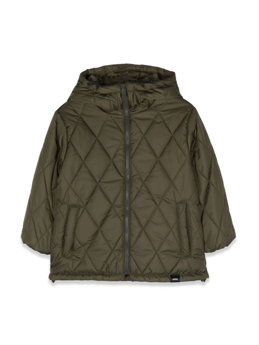 Shop Aspesi Quilted Down Jacket With Hood In Military Green