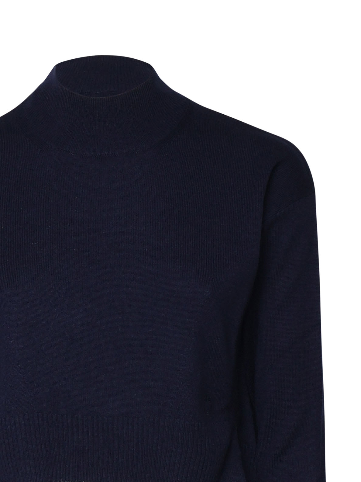 Shop Pinko Short Sweater With Half Turtleneck In Blue Navy