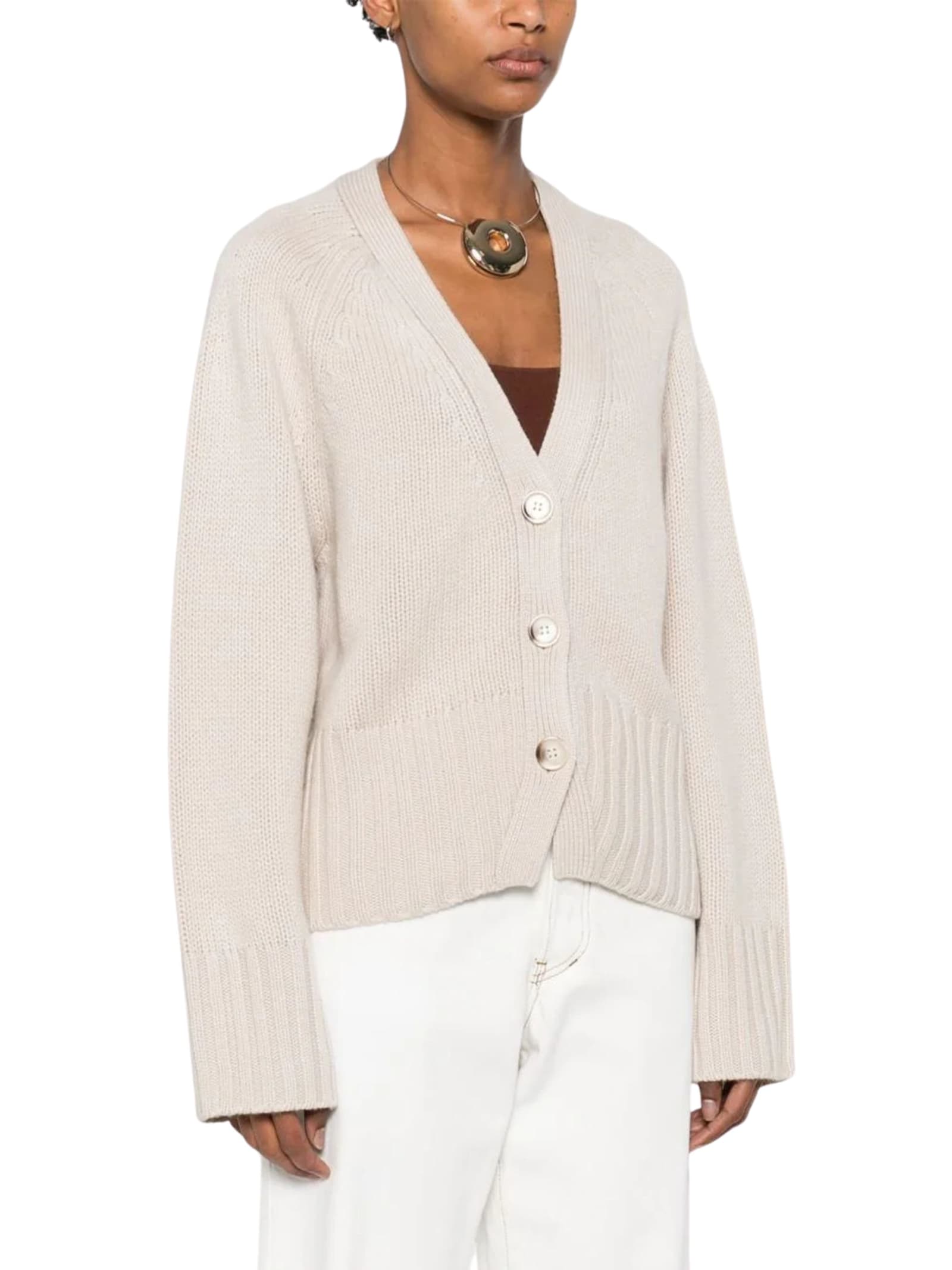 Goat Cashmere V-necked Cardigan In Multi