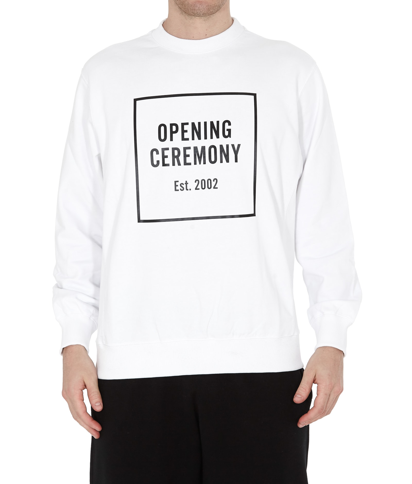 opening ceremony box logo hoodie