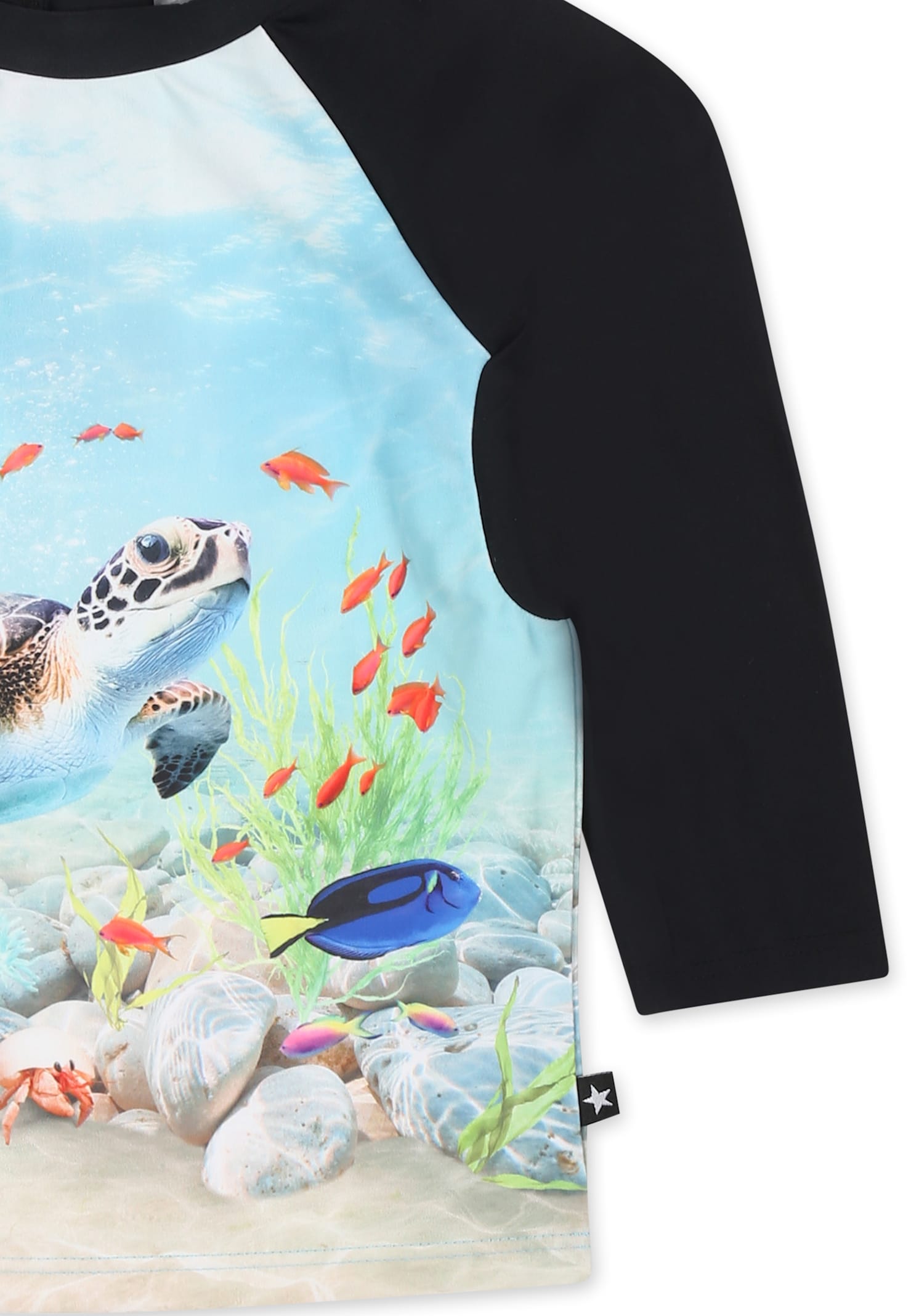 Molo Light Blue Anti-uv T-shirt For Baby Boy With Ocean Print In Multicolor