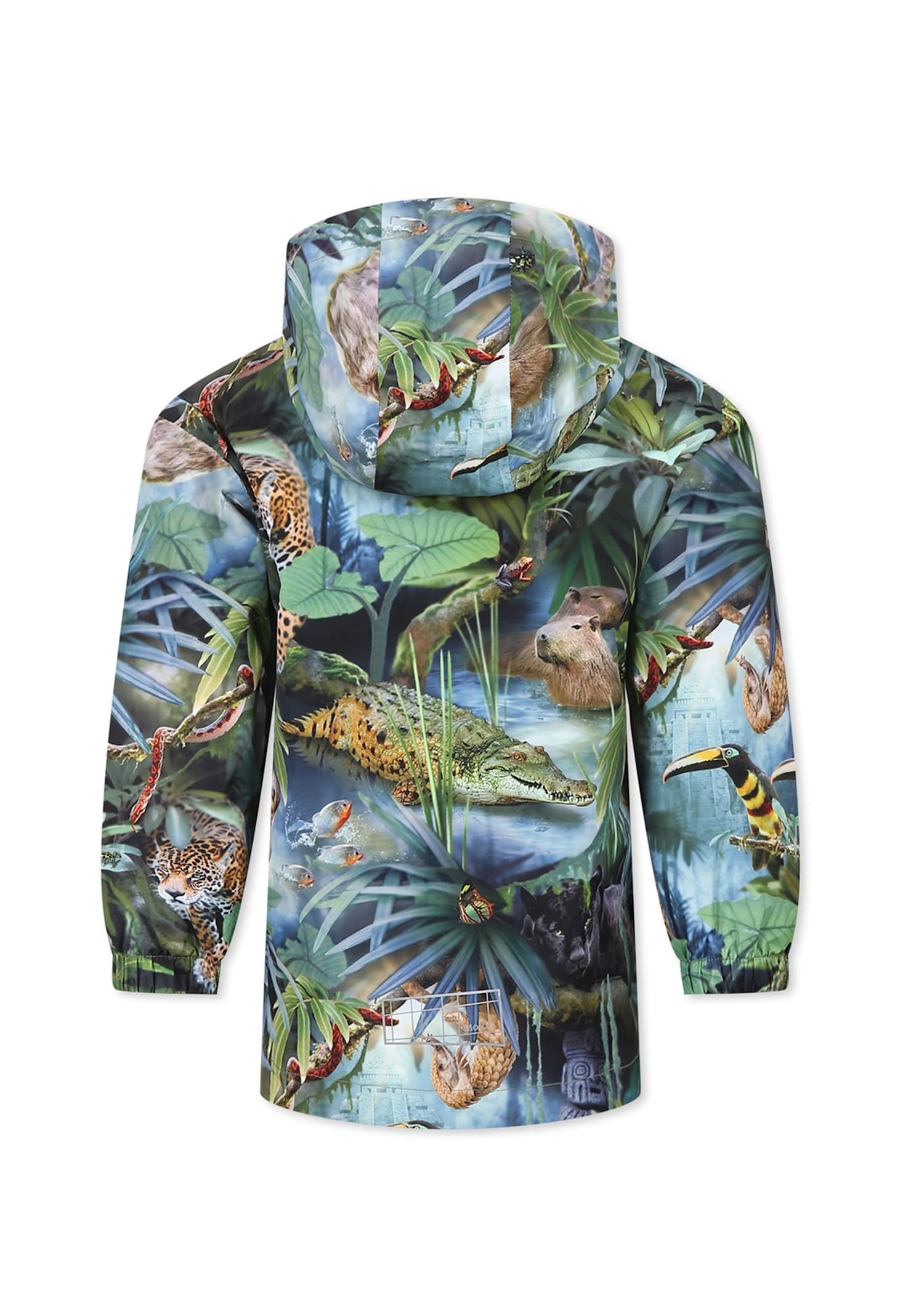 Molo Geen Windbreaker Jacket For Kids With Jungle Print In Green