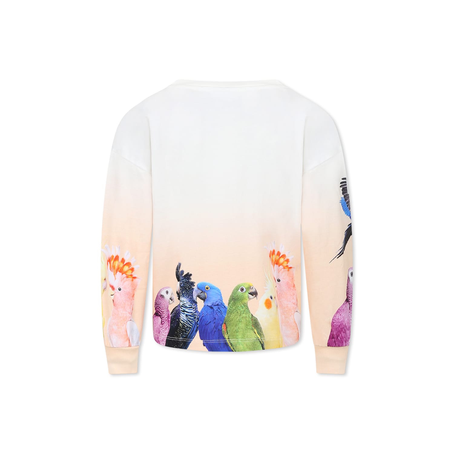 Molo Ivory T-shirt For Girl With Parrots Print In Ivory