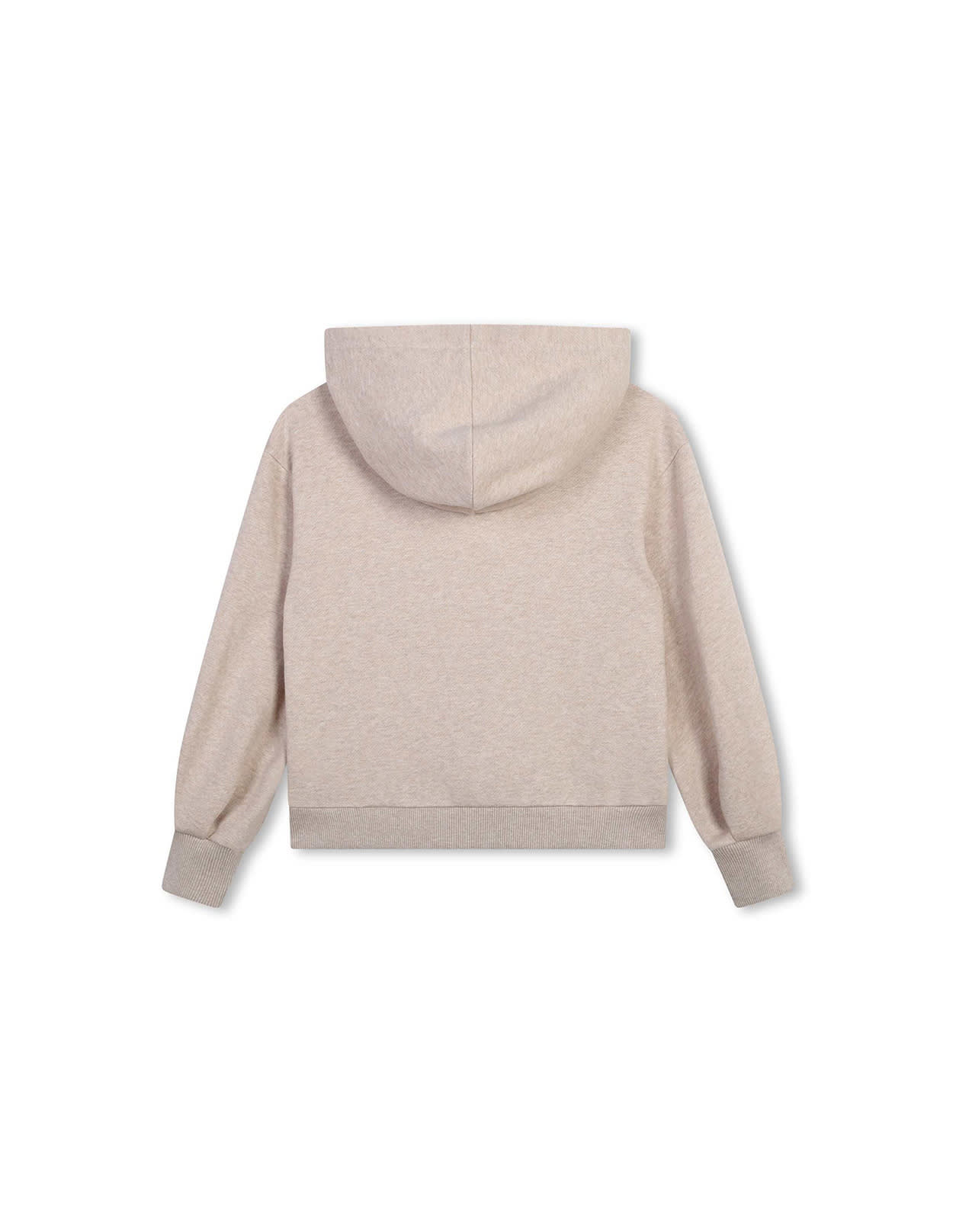 Shop Chloé Beige Marl Hoodie With Botanical Embroider In Brown