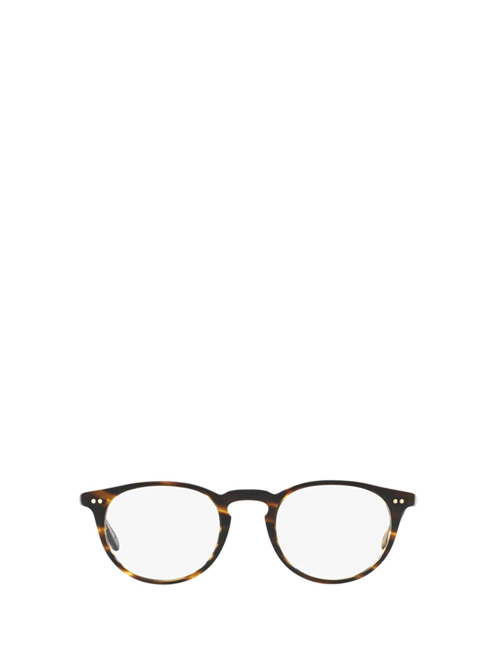 Ov5004 Cocobolo (coco) Glasses