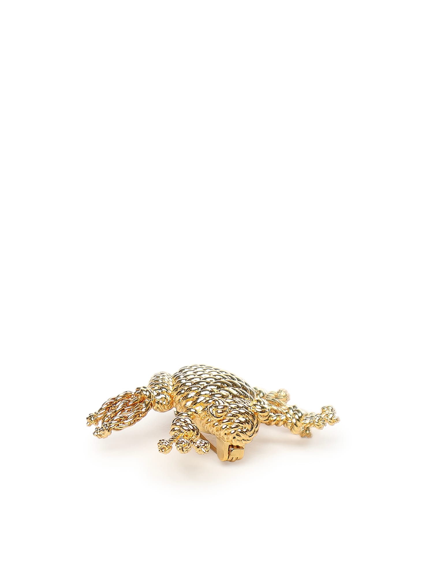 Loewe Frog Brooch In Brown