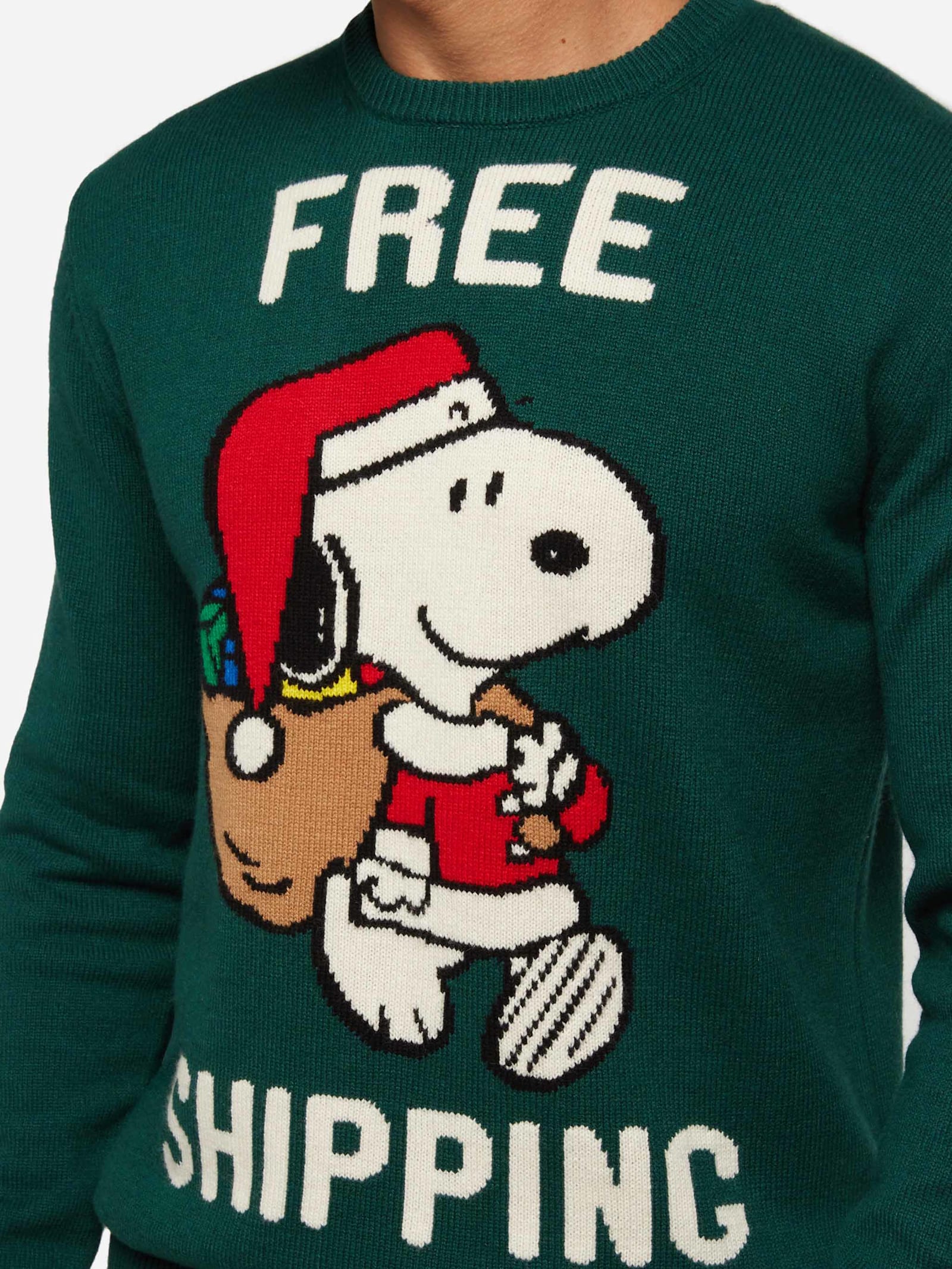 Mc2 Saint Barth Green Sweater Heron With Snoopy Jacquard Snoopy Peanuts® Special Edition In Green