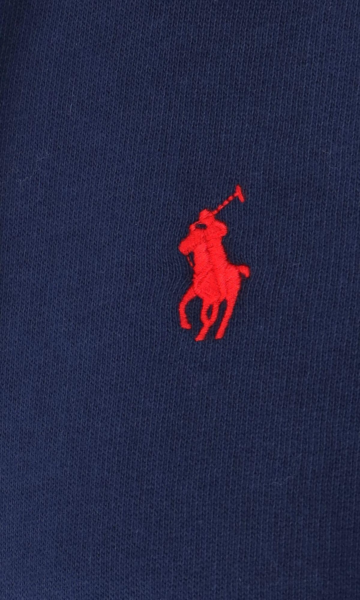 Shop Polo Ralph Lauren Logo Hoodie