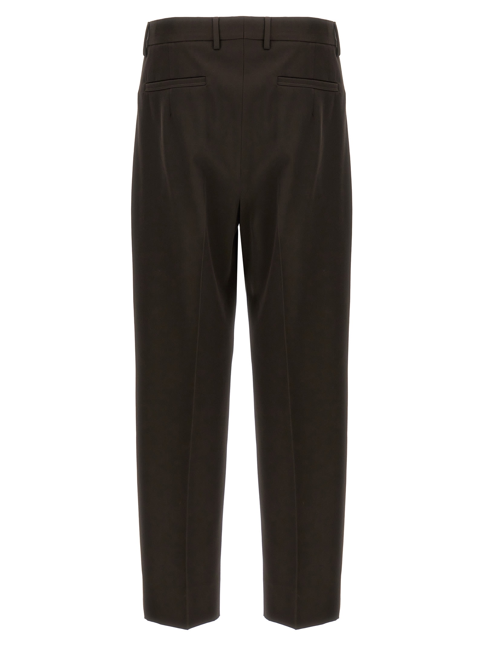 Shop Zegna Front Pleat Pants In Brown