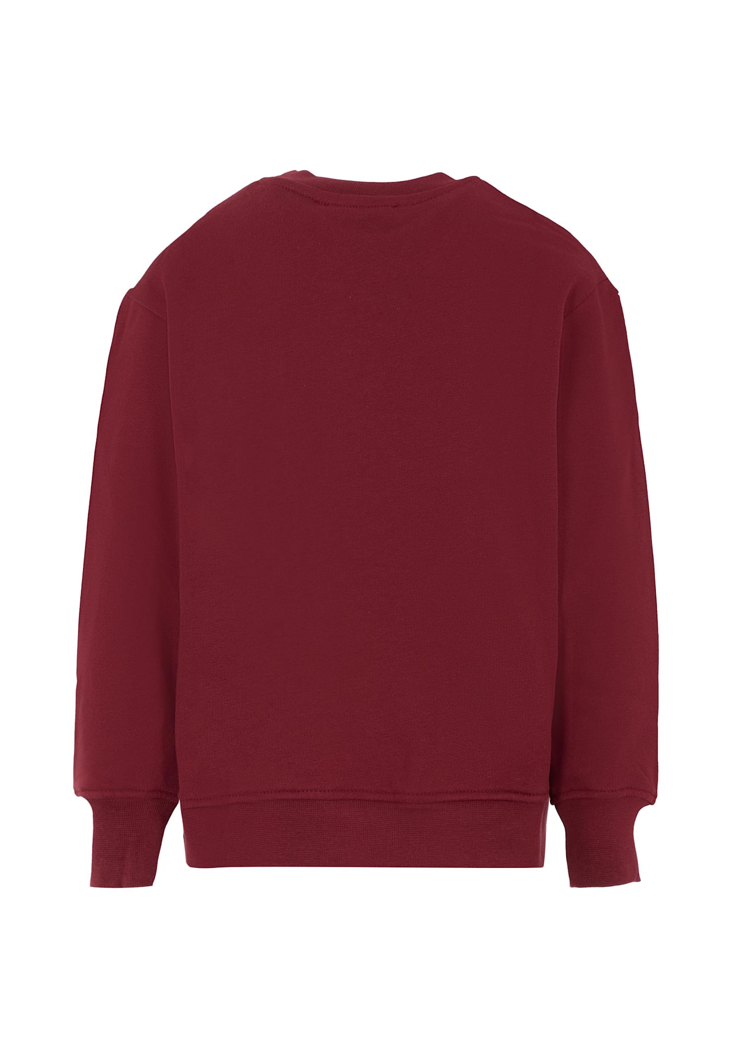 Msgm Burgundy Sweatshirt For Kids With Logo In Burgundy
