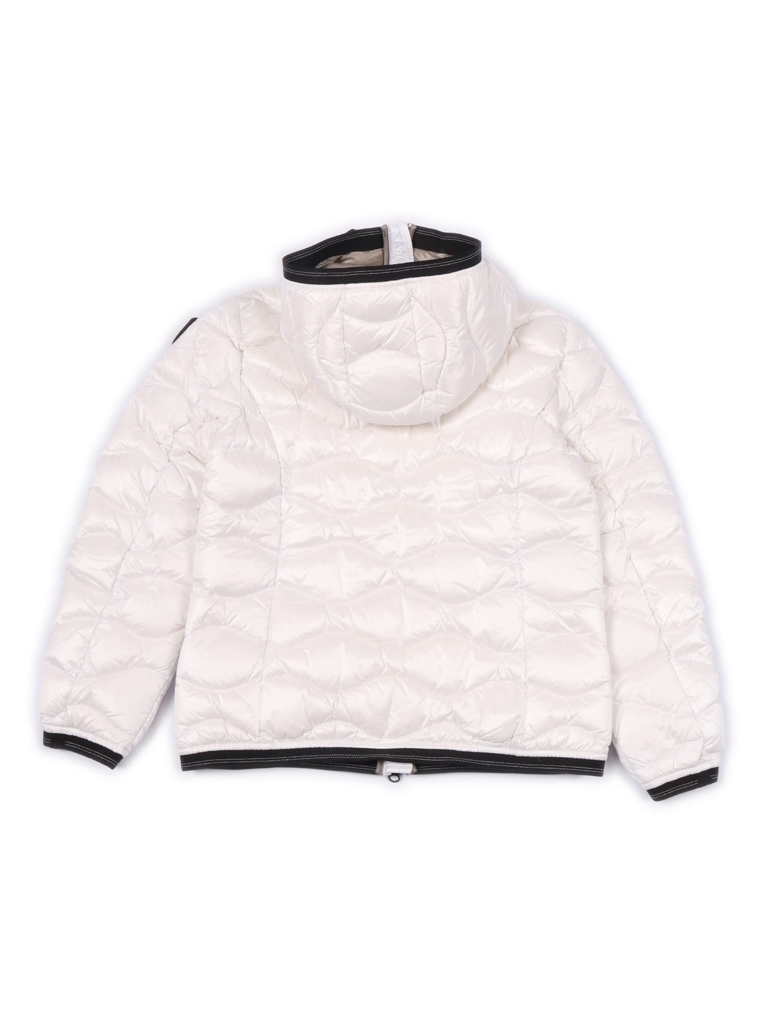 Blauer Lowell Junior Down Jacket In Multi